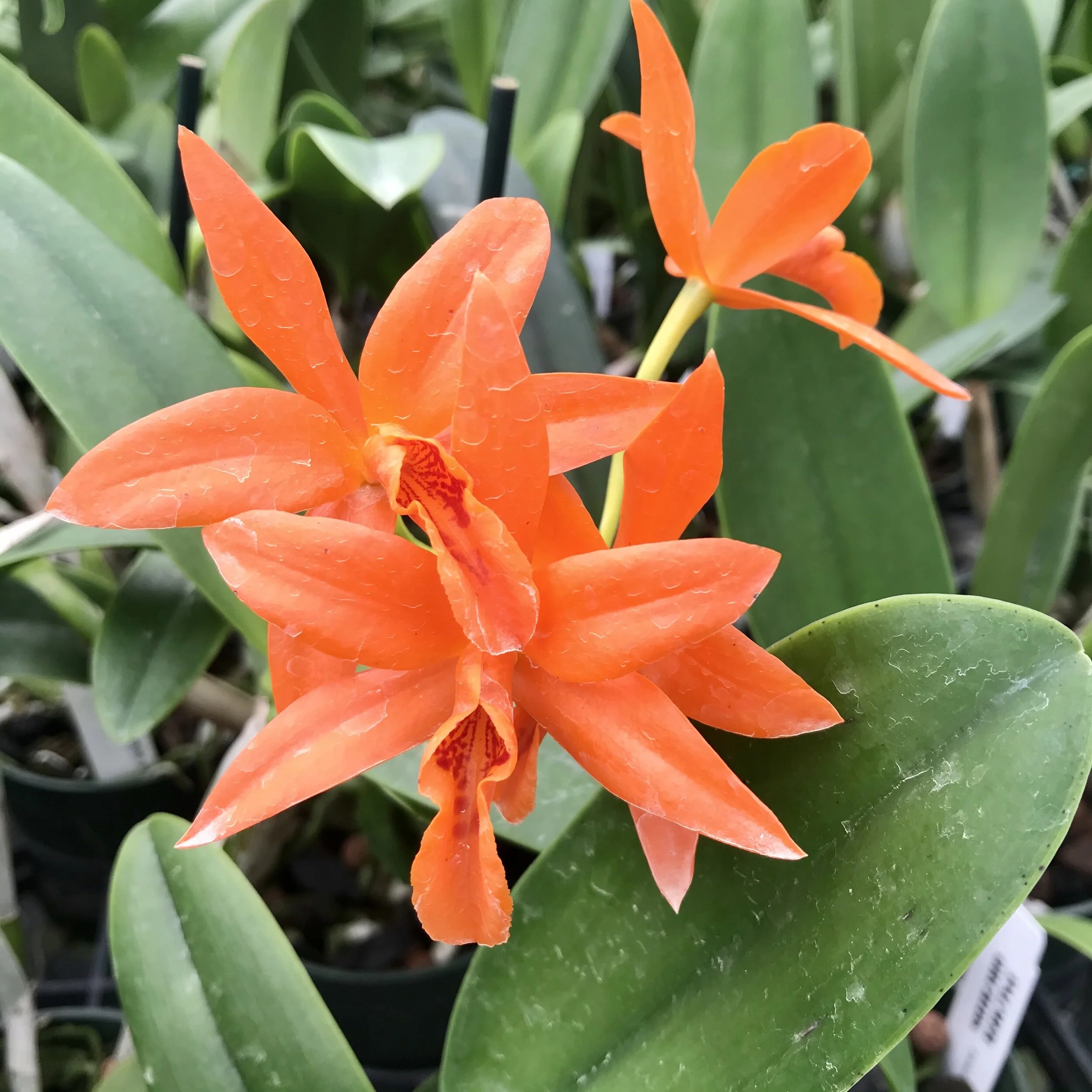 B9D78015-A573-462F-927C-8A882ED941E4