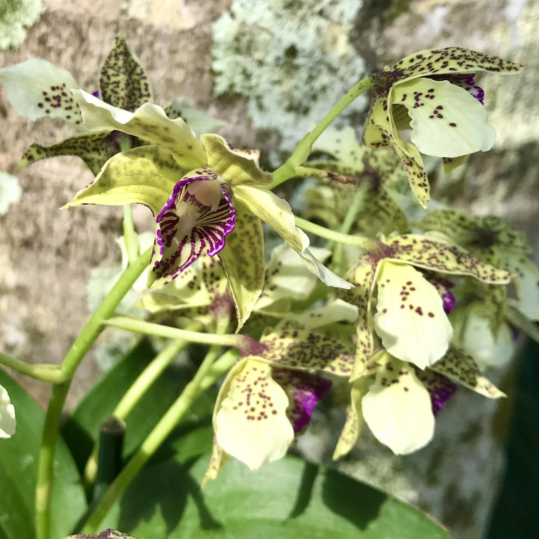 DB4E77F8-6B7B-4536-9066-F8238D489CAA