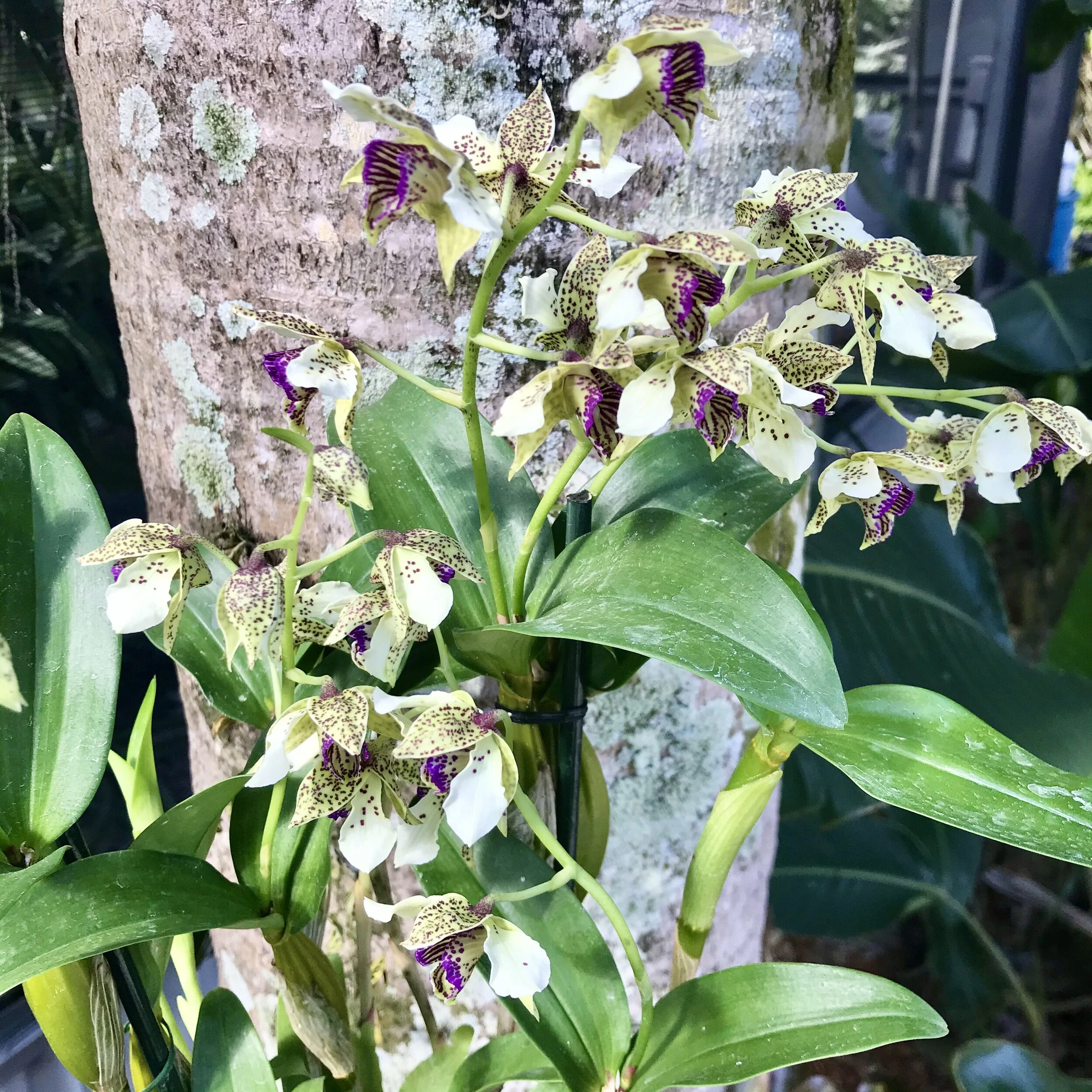 CCE0E8A8-745F-45F9-BD51-2FA83B029526