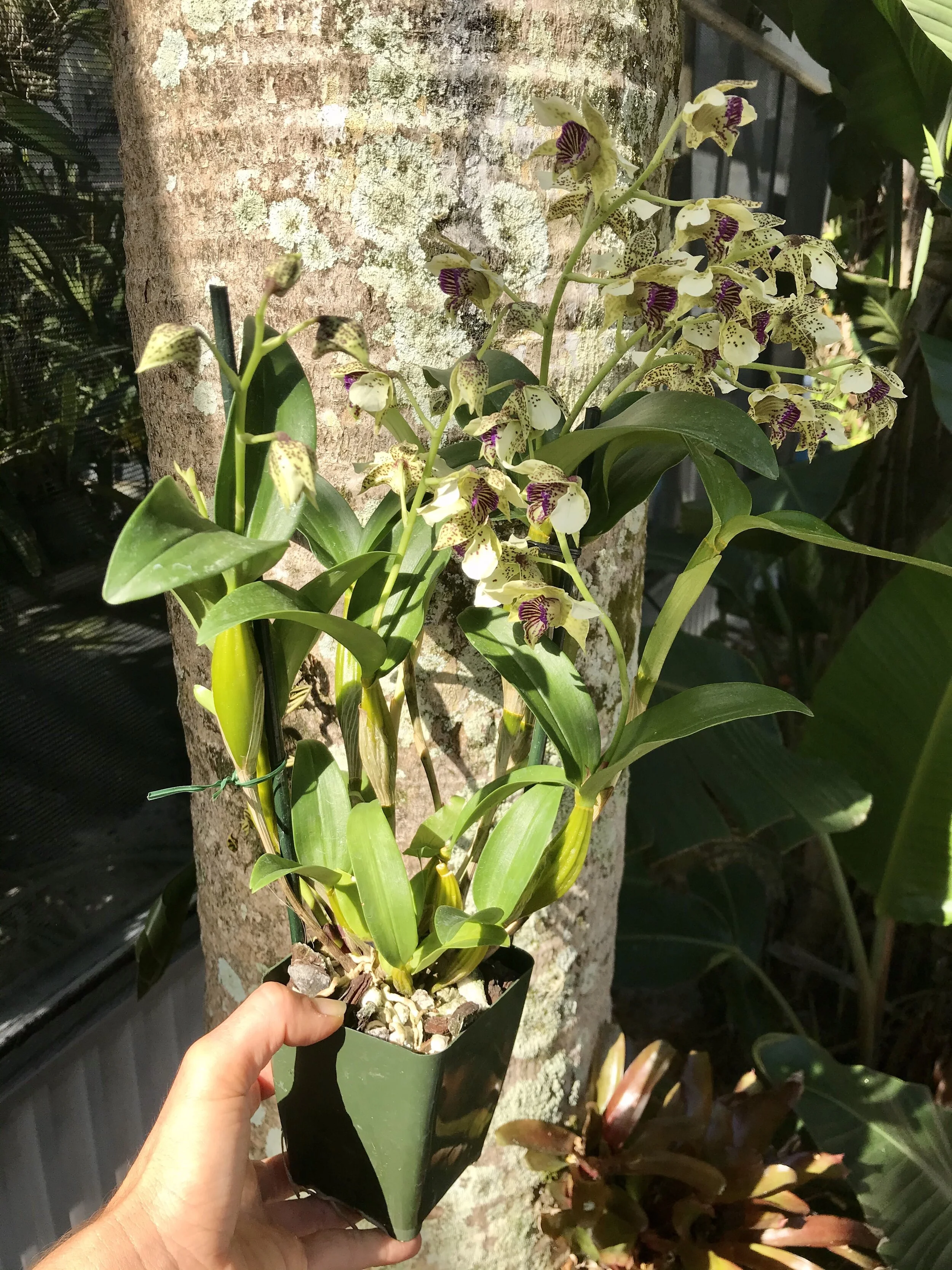 92BD4A3B-75E1-414F-8A11-260BC47626A9