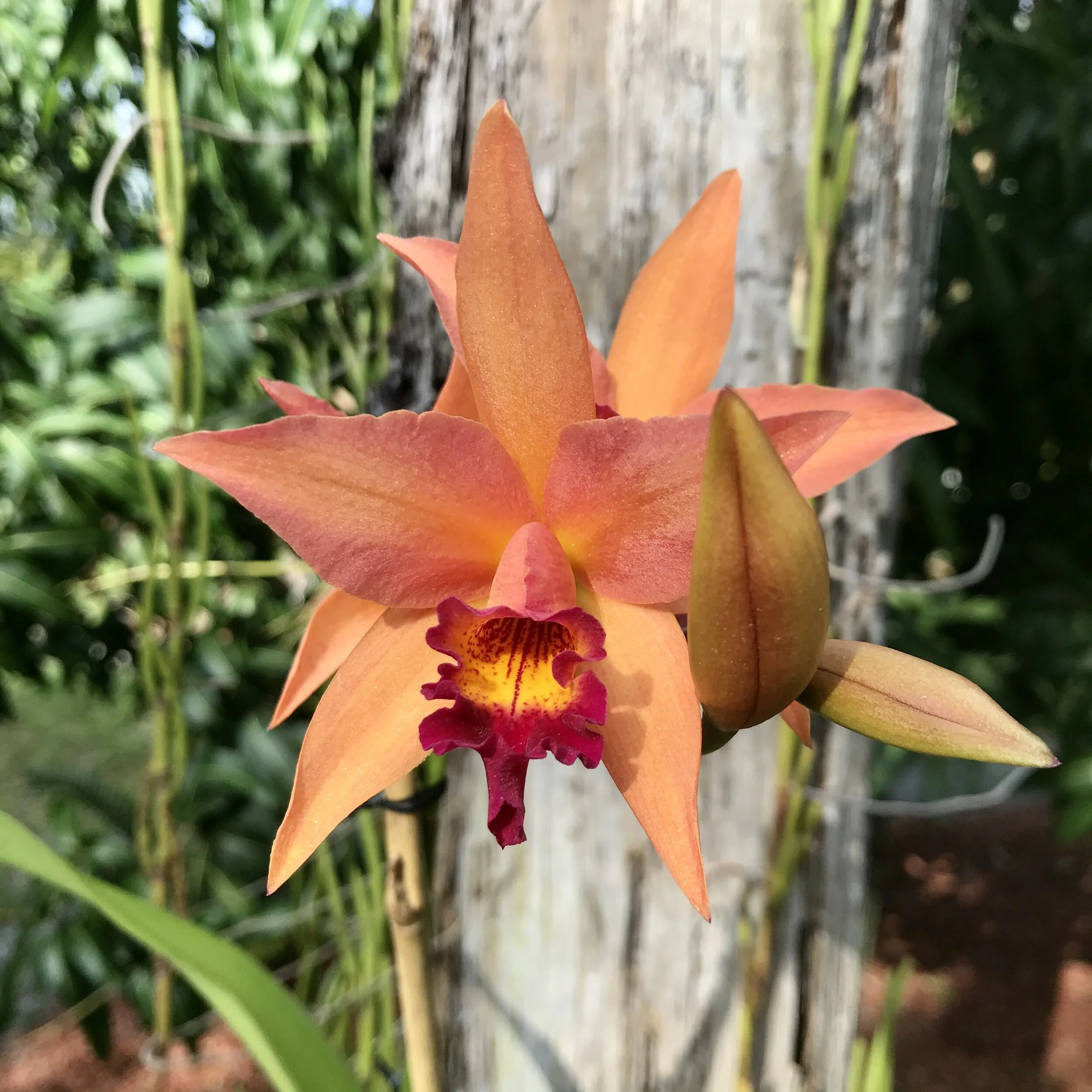 71019766-04BA-4EA7-8B54-DF48F94A687F