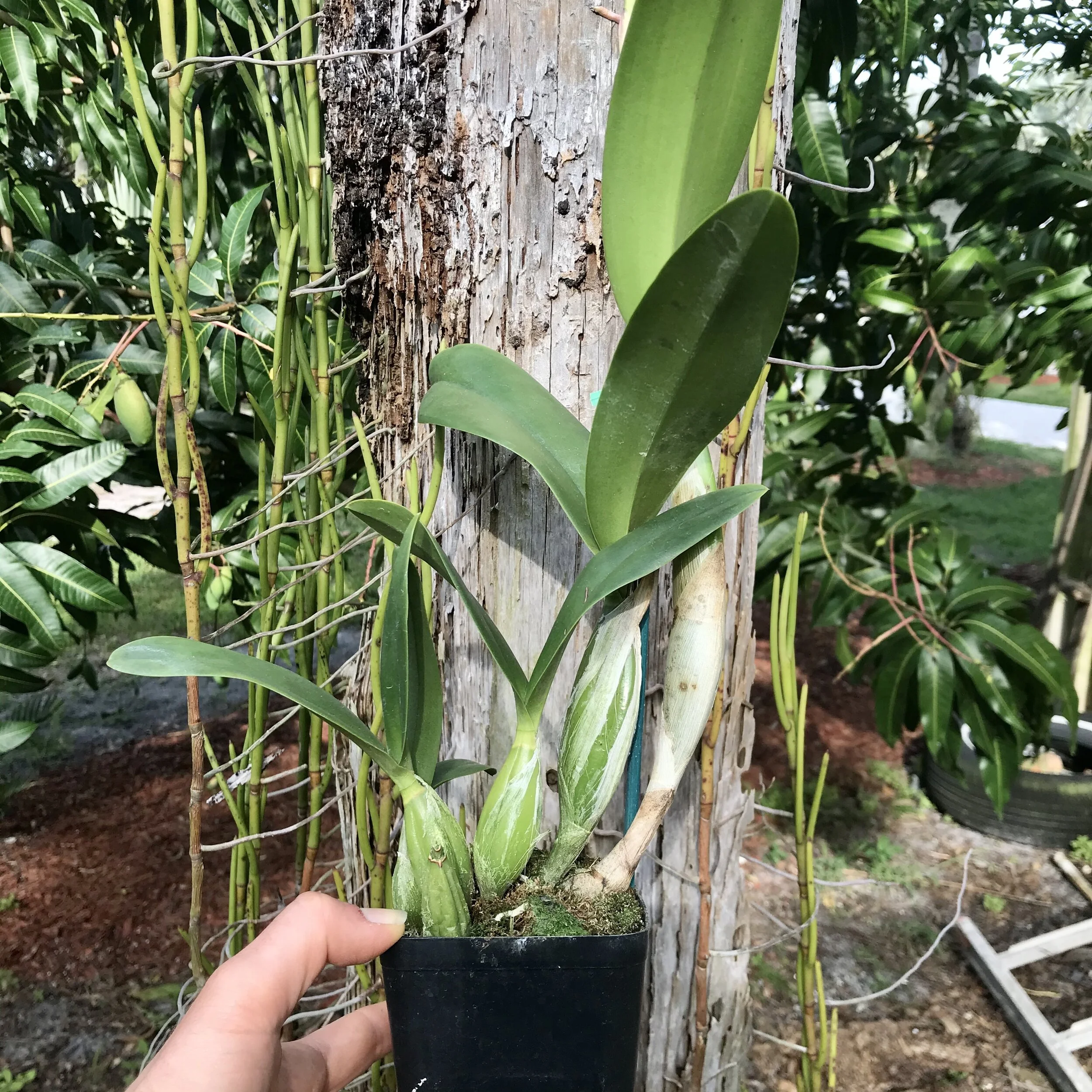 DCB5CC8B-801F-4F35-9B8A-5FF73589812D