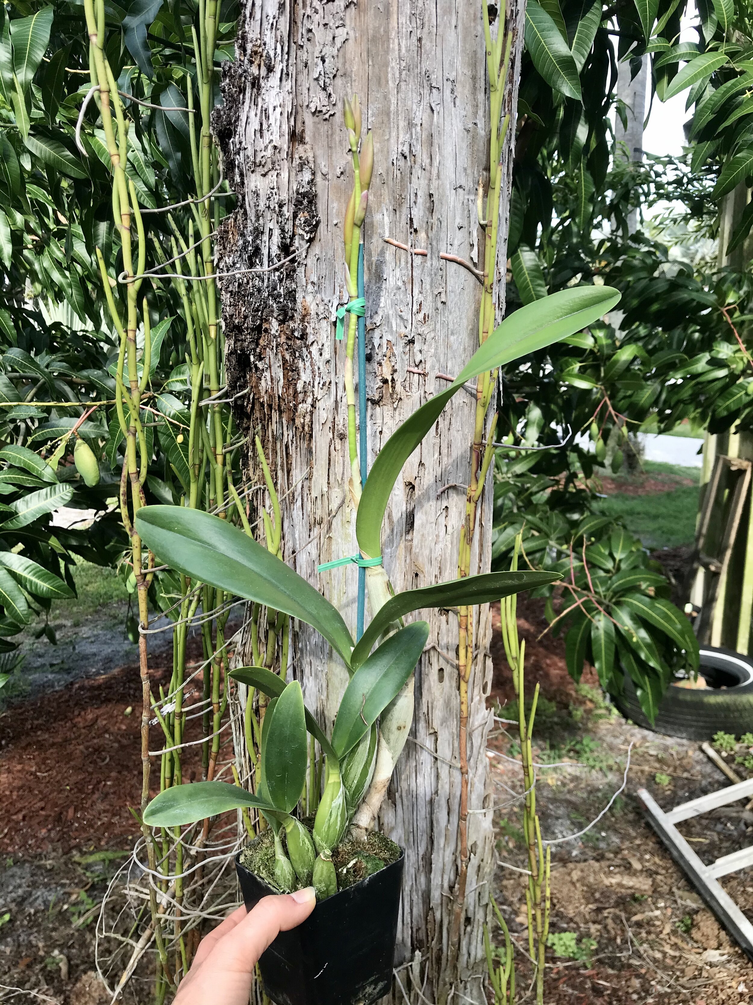 28F96D06-B3E9-48ED-864E-7E60E74F35CF