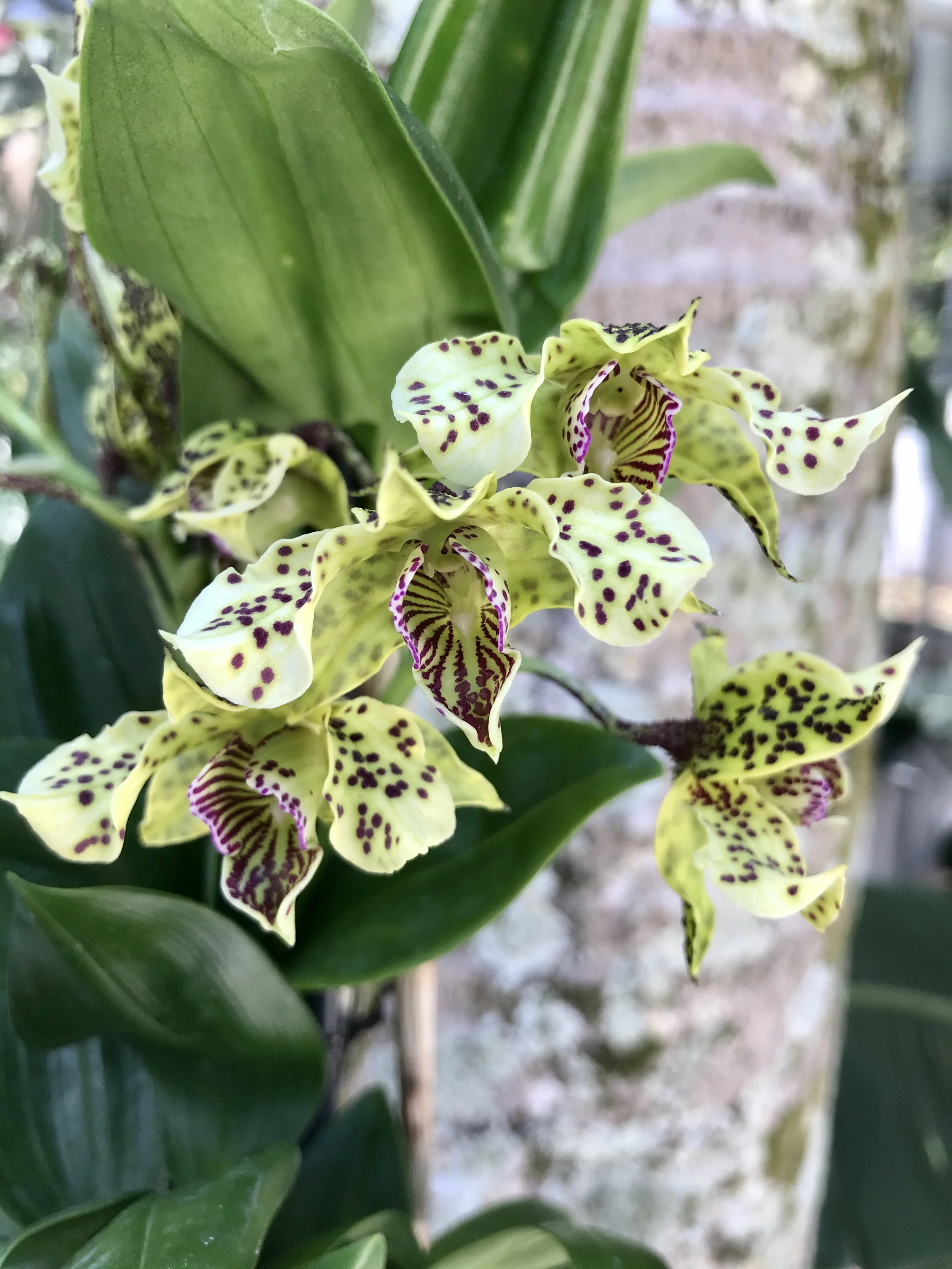 660DA8F6-23F2-4CD2-BD68-432FF95B3112