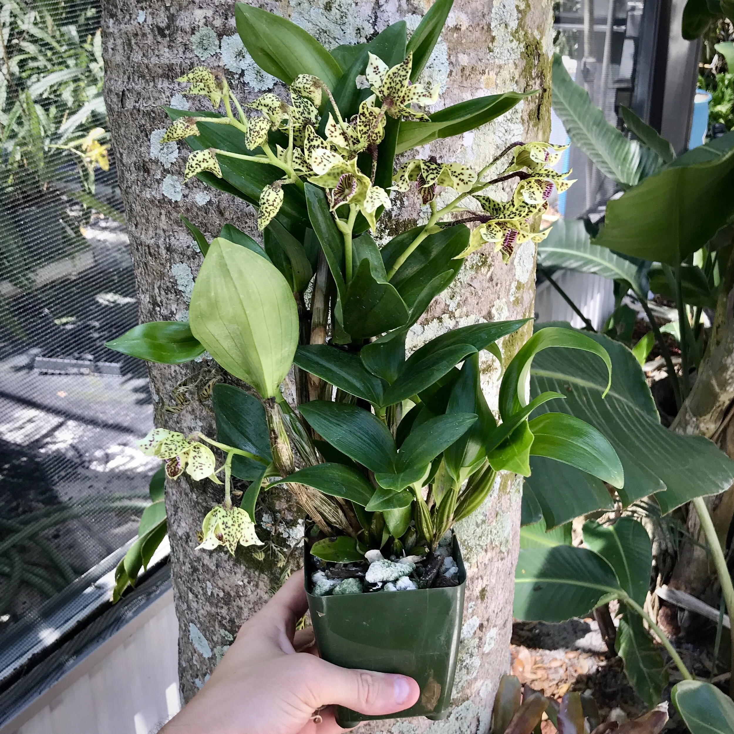 0AF1CB28-8AD5-440C-B772-19D18FF07E26