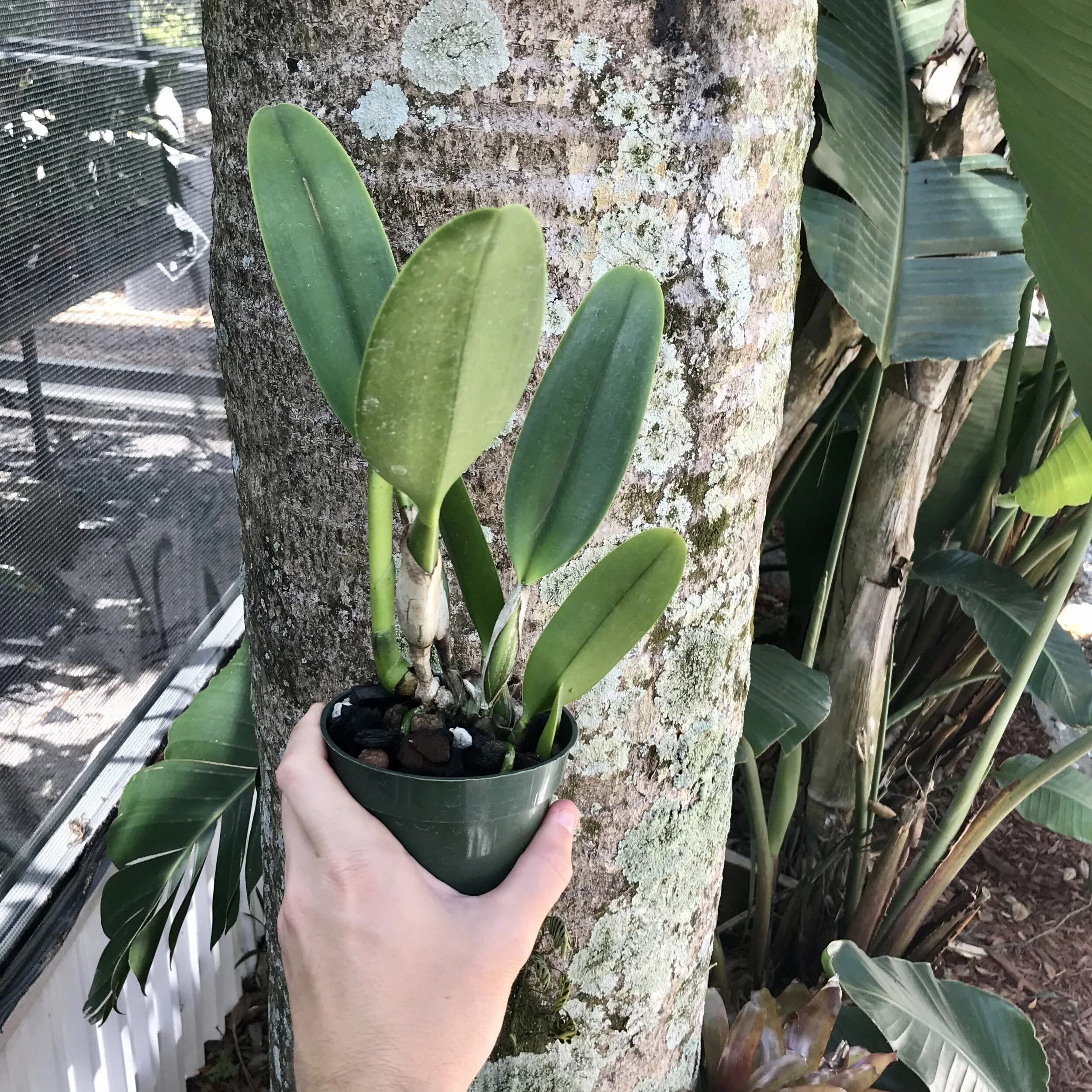 C4CA7359-893C-4567-B215-C02ED97E770E