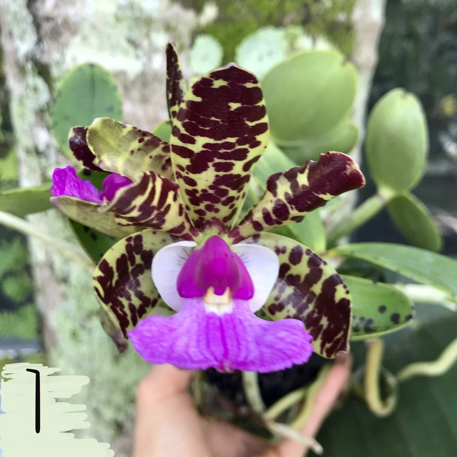 AF34AFA9-71E8-436B-9D66-430575E5BFAB