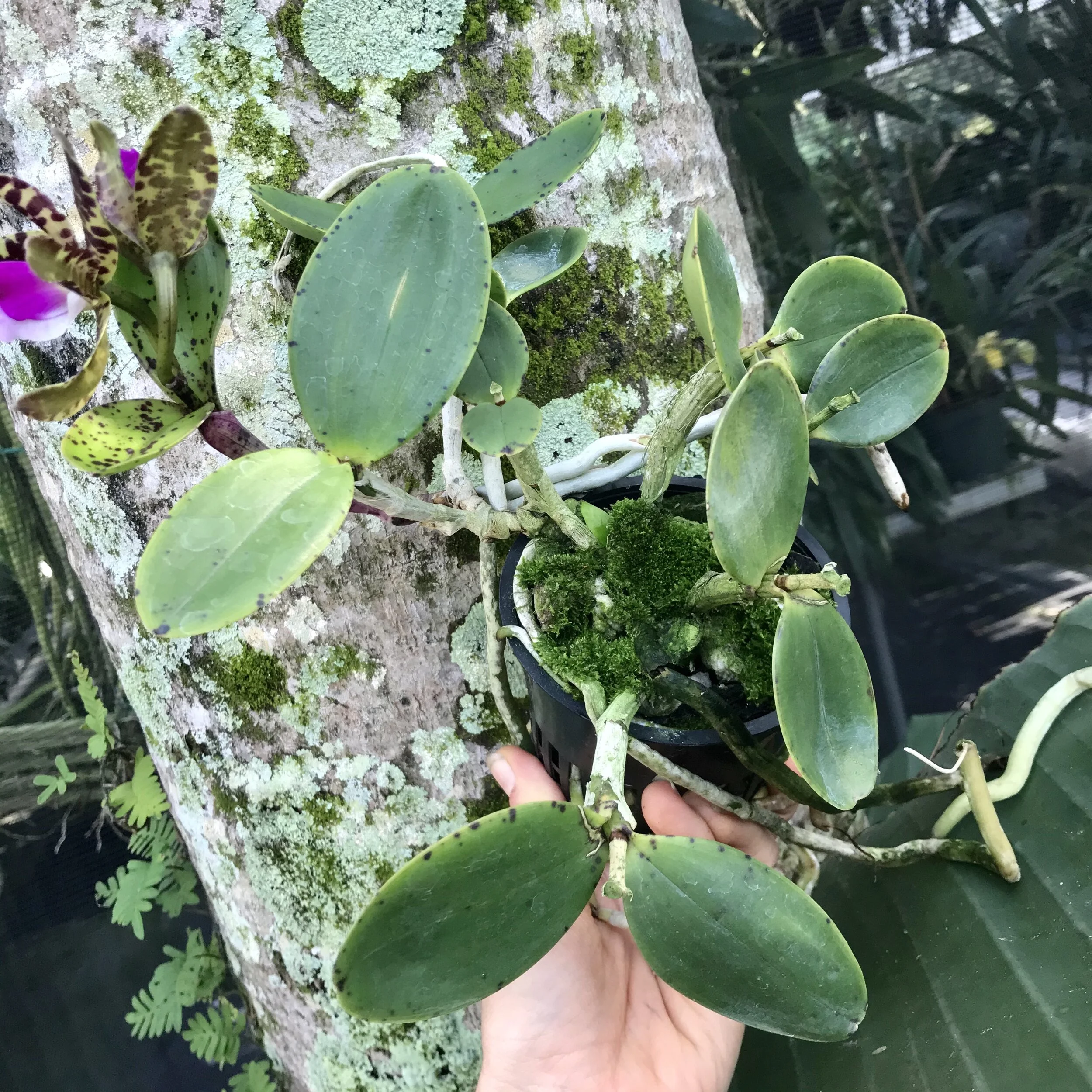 173F5F54-C466-416A-8283-AA43D6B56FCC