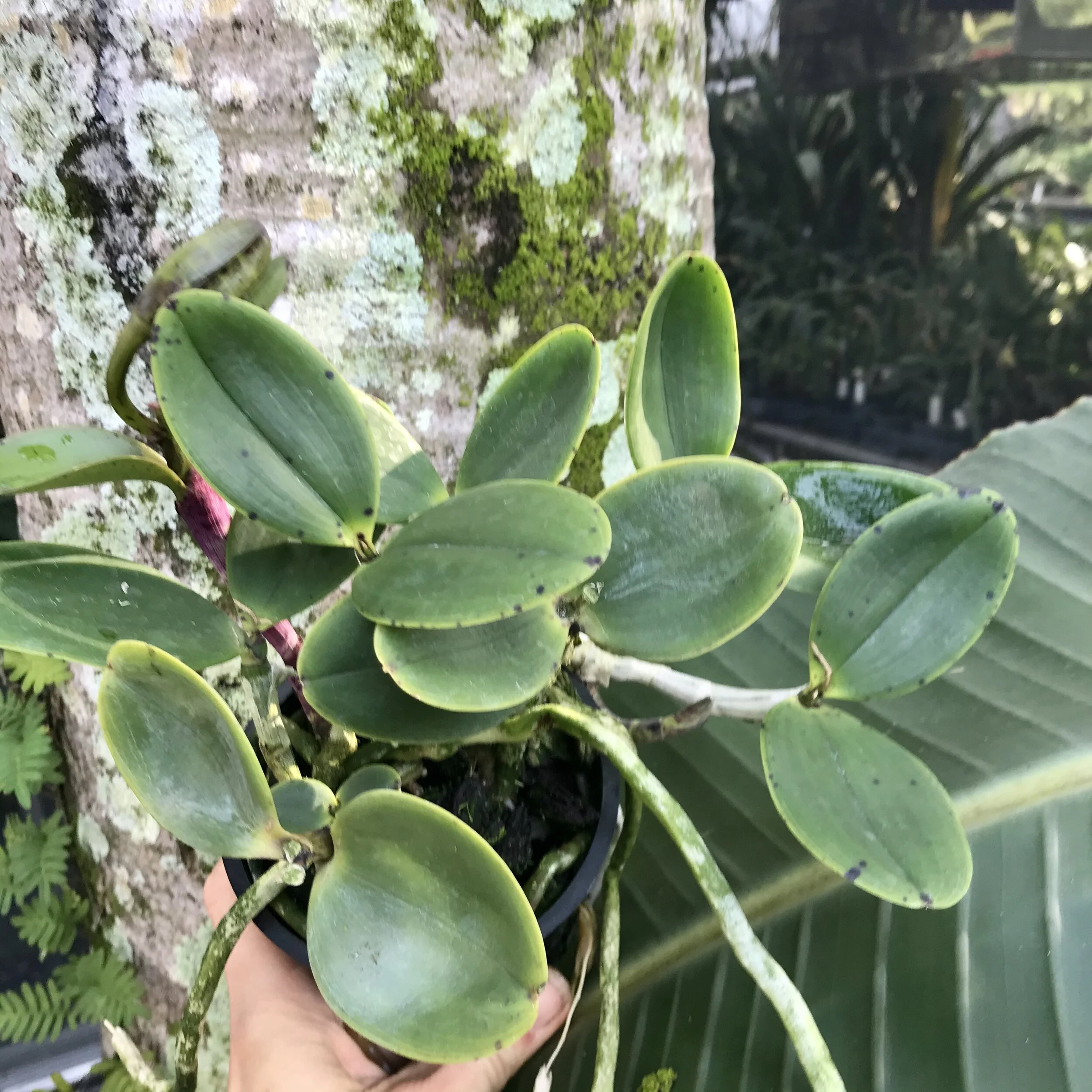 F6353F1B-5D7D-4F93-9B7F-03E77B09938C