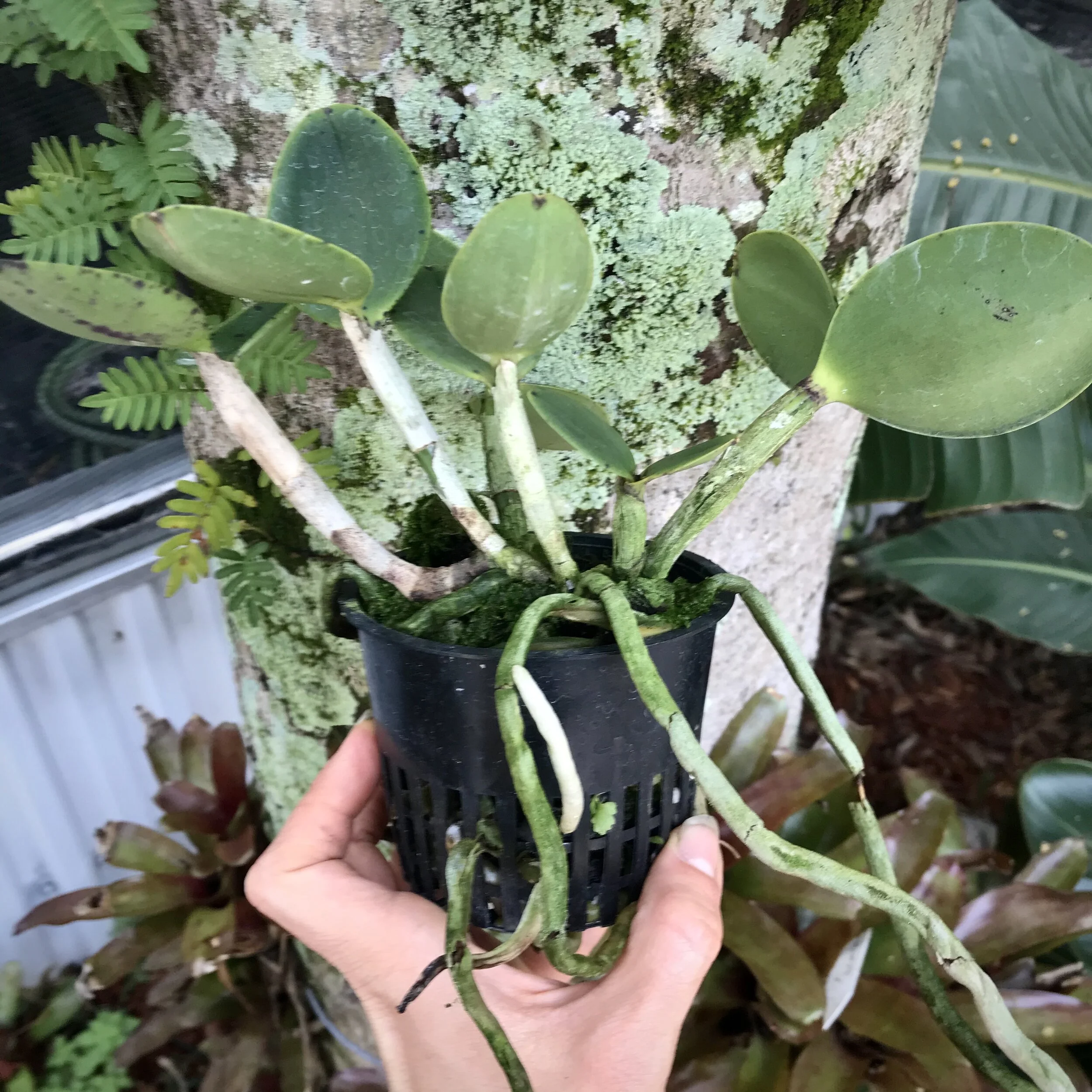 1C1CFC9D-DC04-43B8-9867-312058F835B5