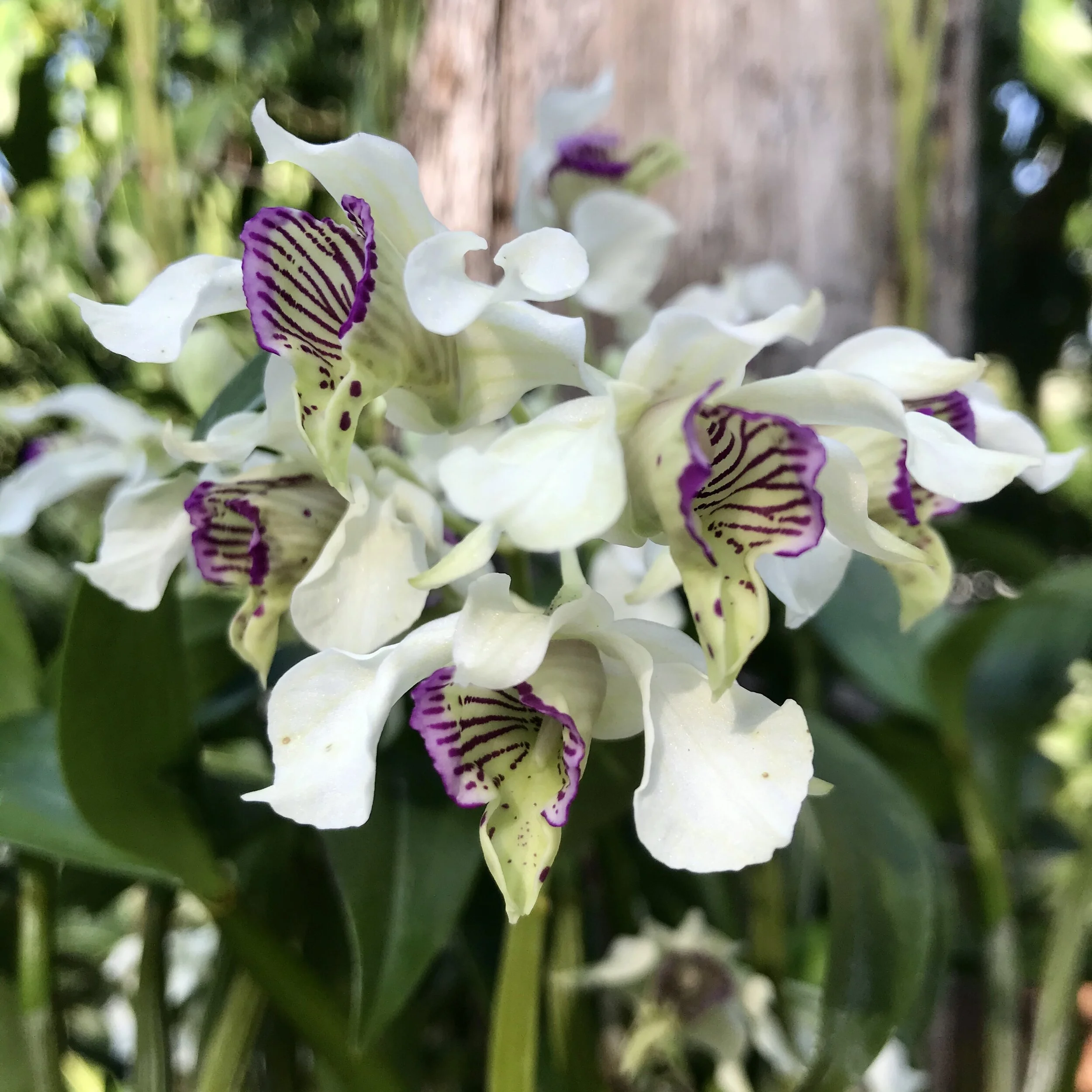 D6AED3AF-5D40-4420-802C-A251E16411B2