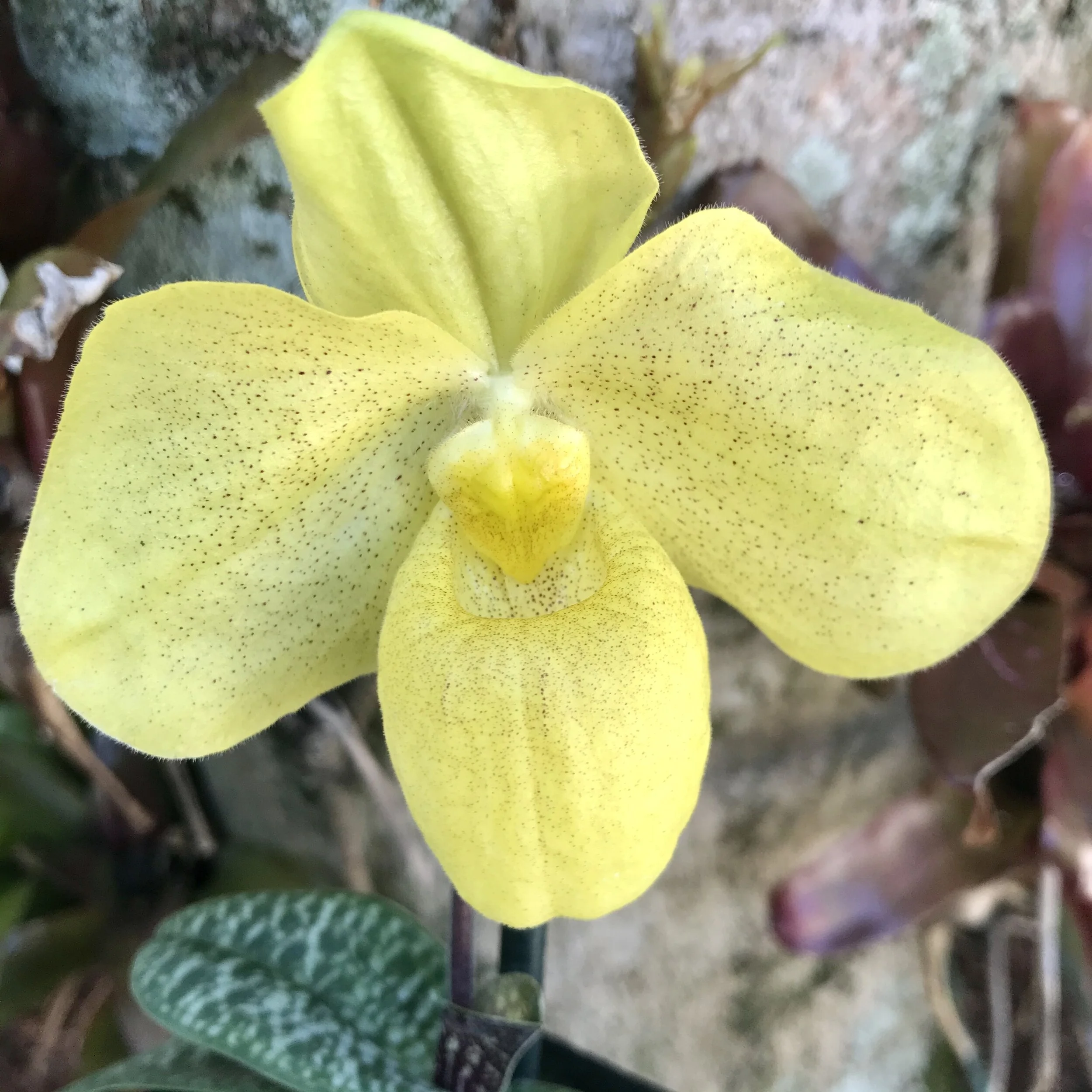 CA38B080-9A2C-4D65-BDCC-40585FAF3B1E