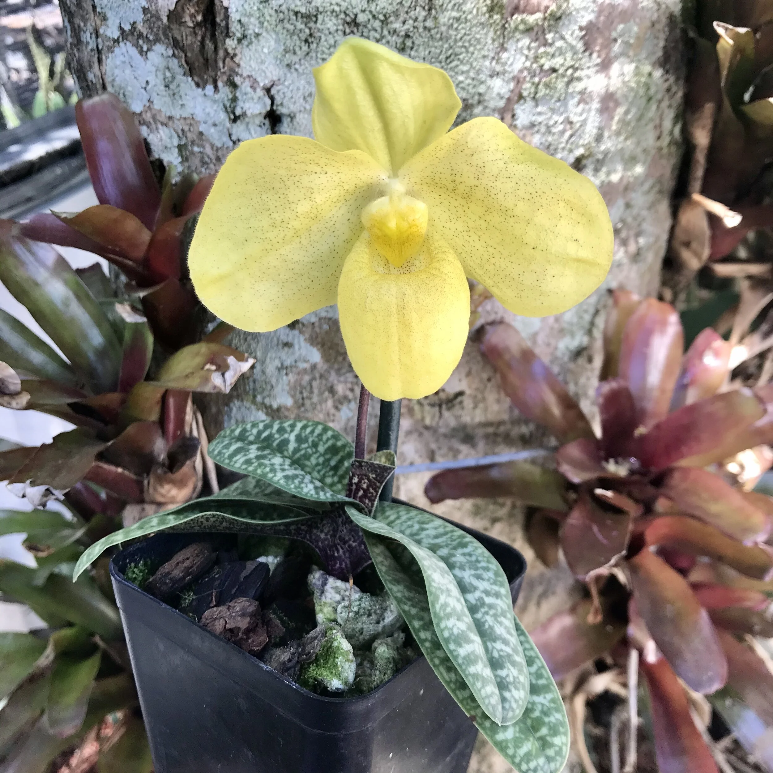 7B626C84-FBAA-4690-9ACB-207615431854