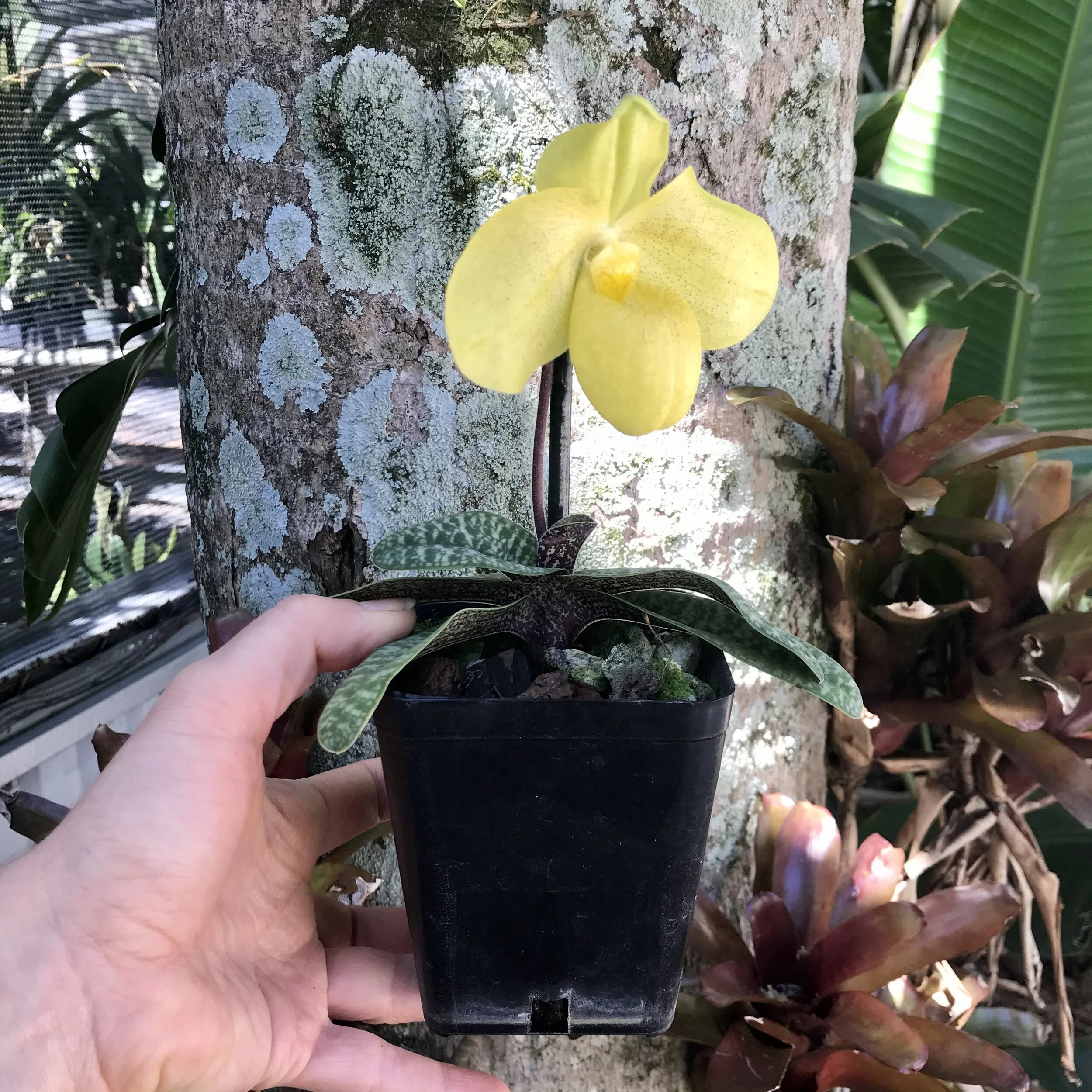 60DE0D15-2EAC-4C30-B37A-7DA70B6A048E