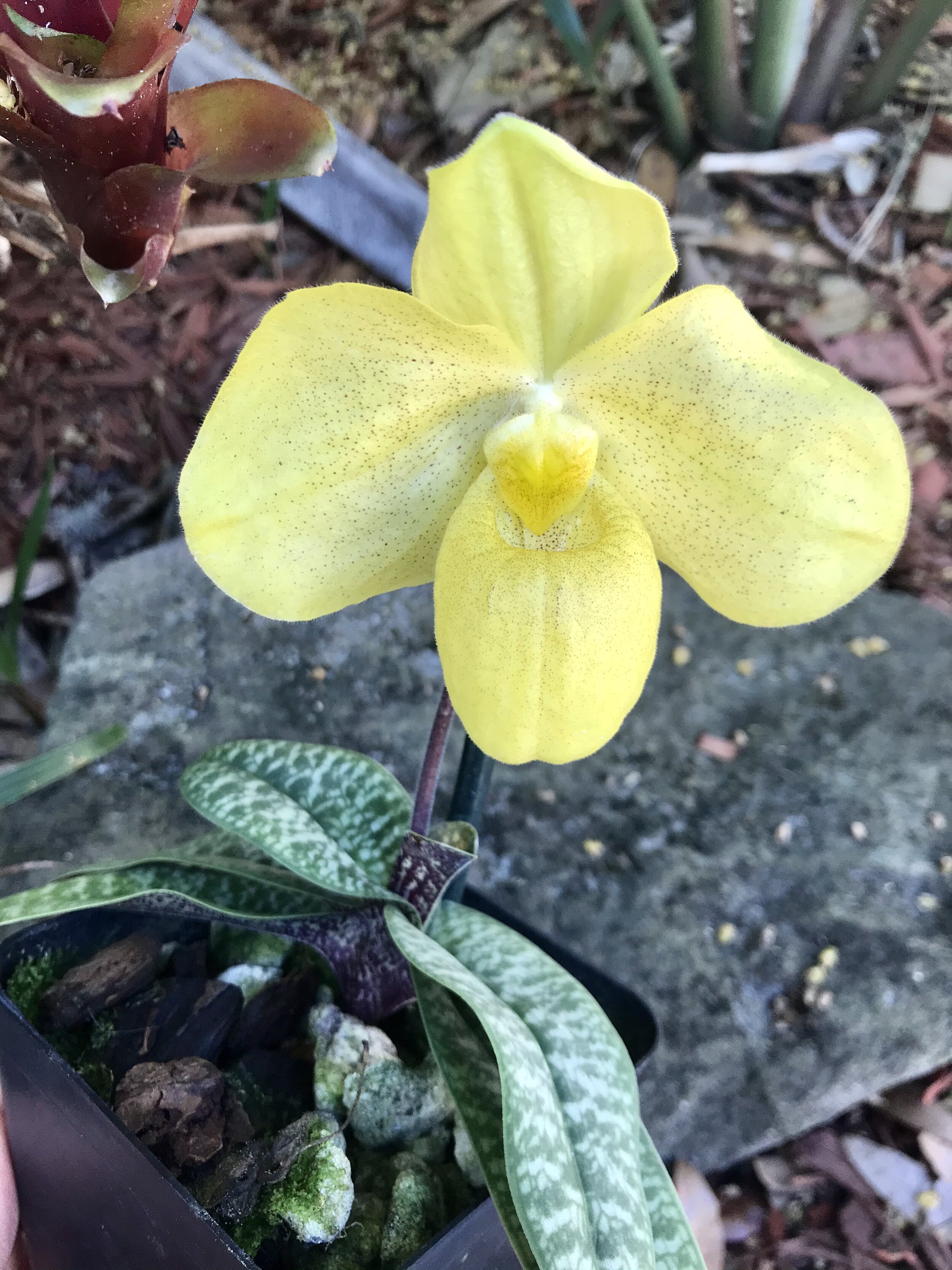 6621EC5D-A8E6-4D6E-9AFA-B70FA569997D