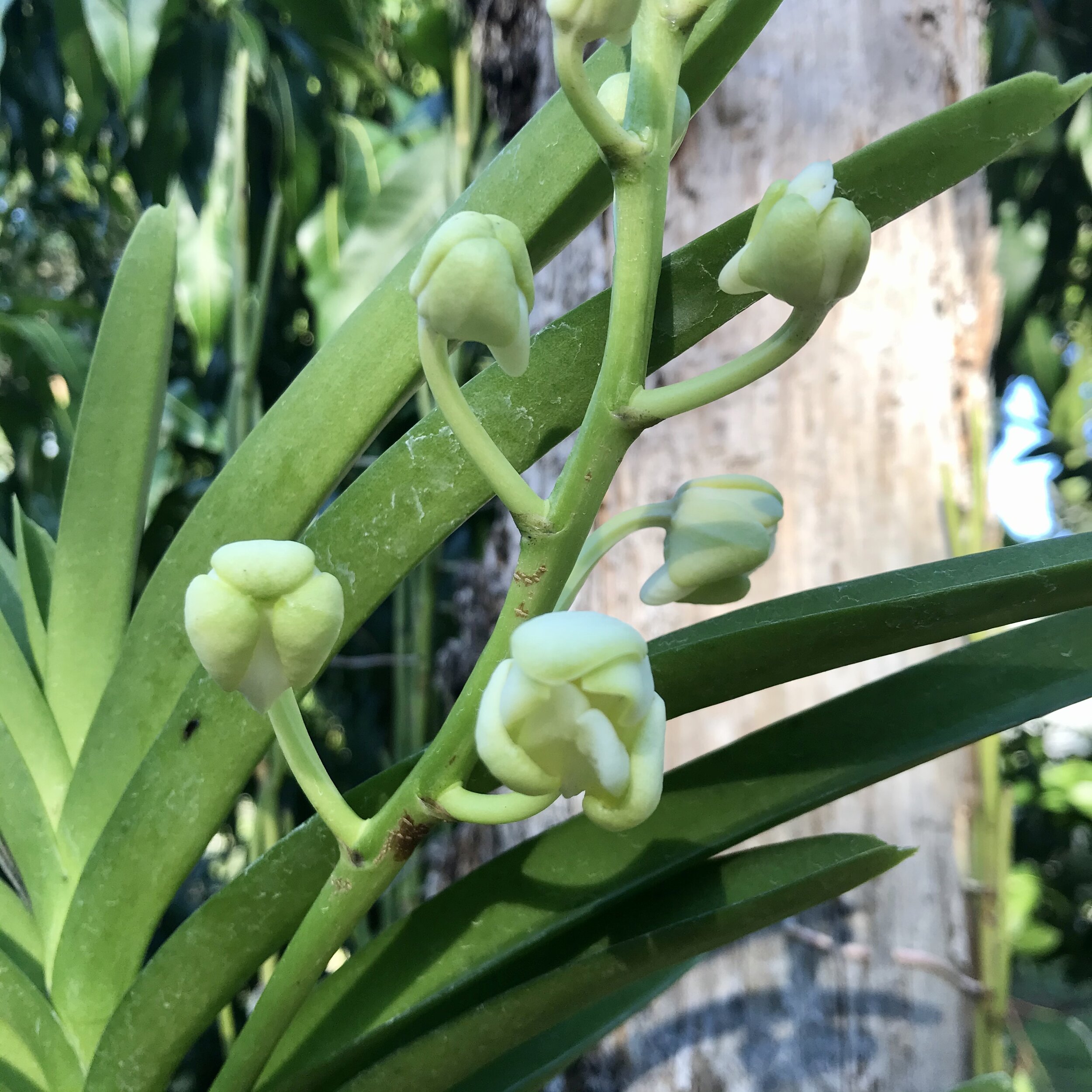 4E6AE4BA-D669-40A5-8DED-0340E747B946