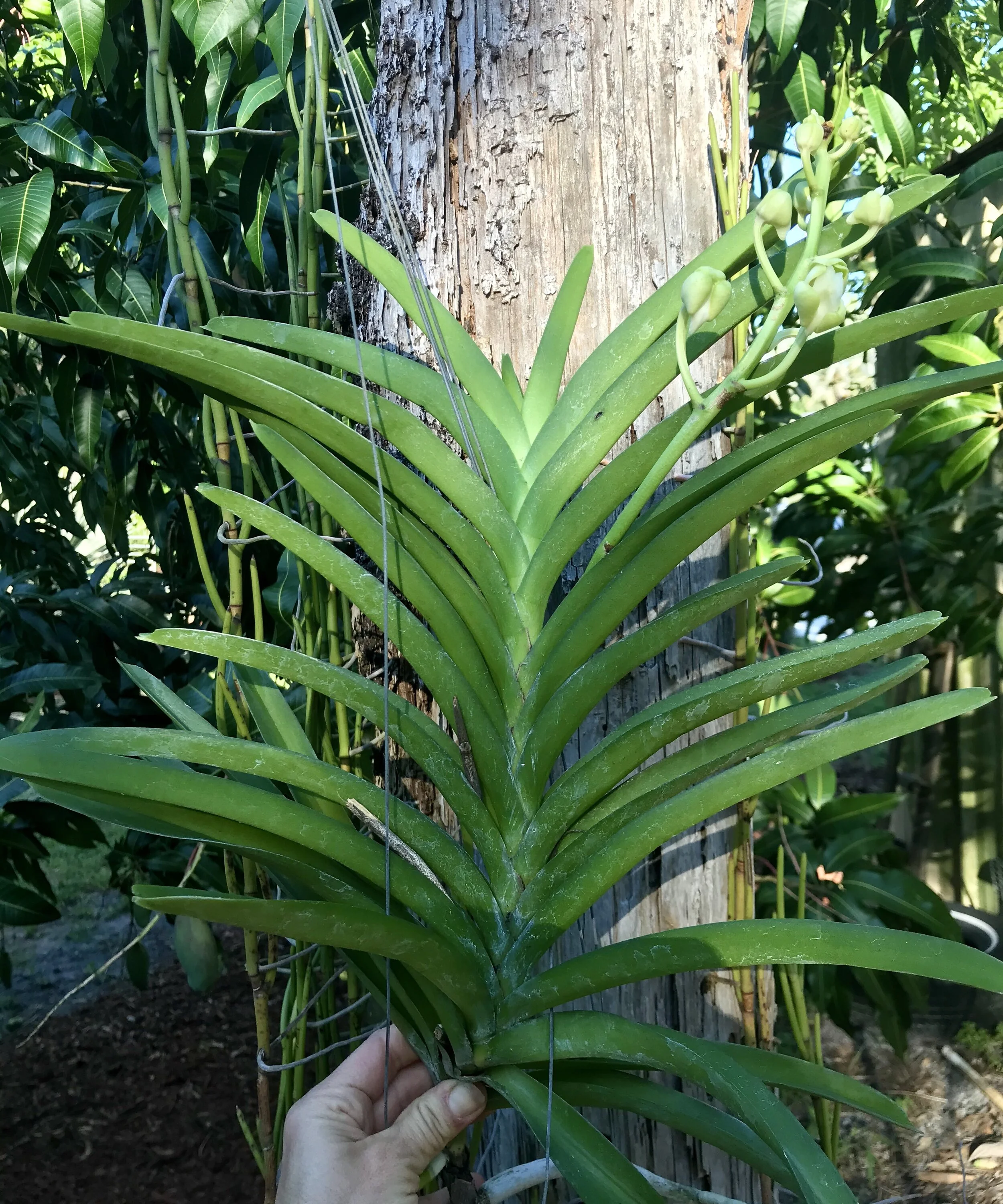 0A7FDF49-B605-4200-BB15-659F46ED0FB9