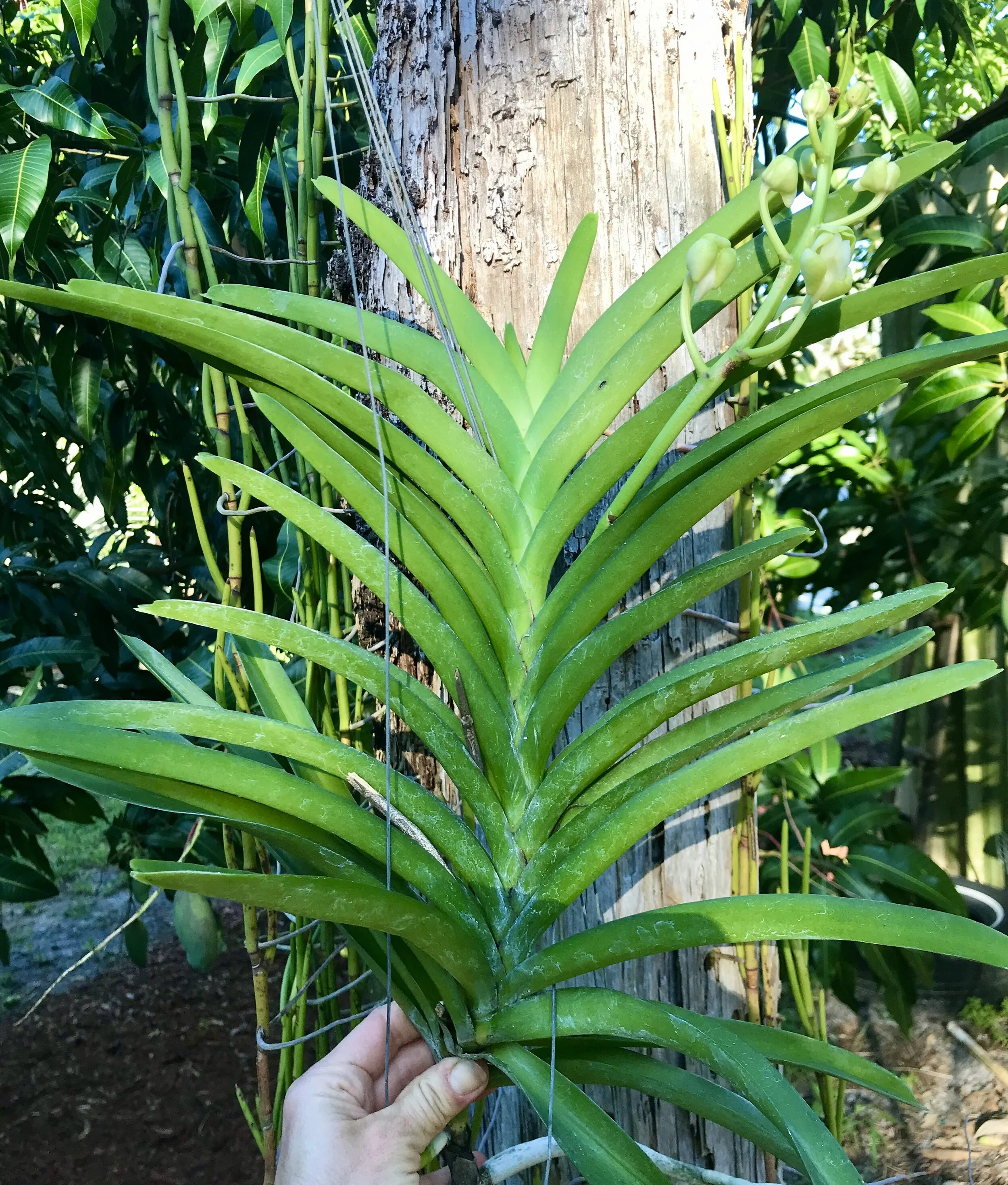 75AAB42B-2286-4CFB-839F-3A1F7FCED1CF