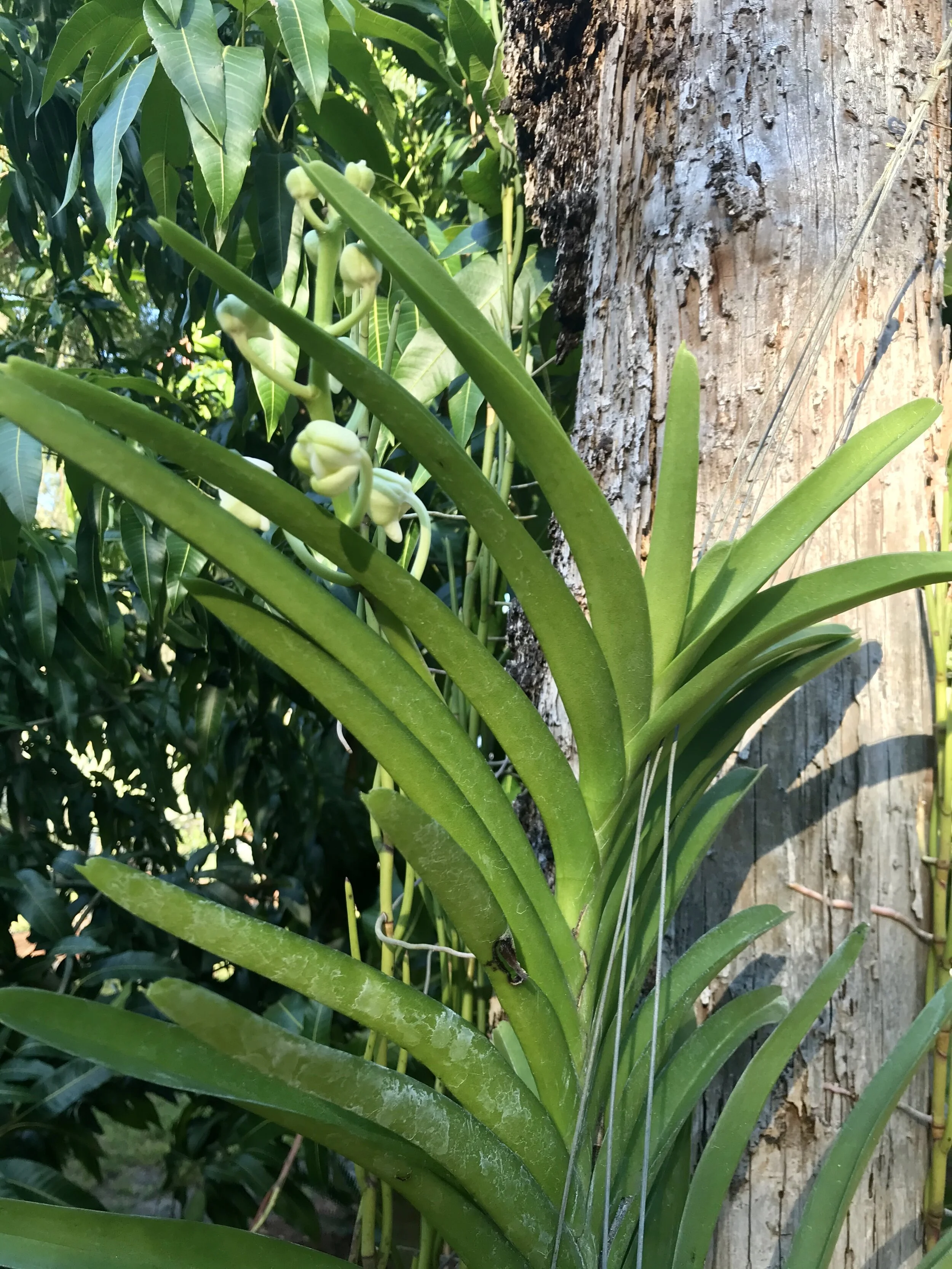 475FBEC8-4074-4C18-BB54-8DB56ADE99C2