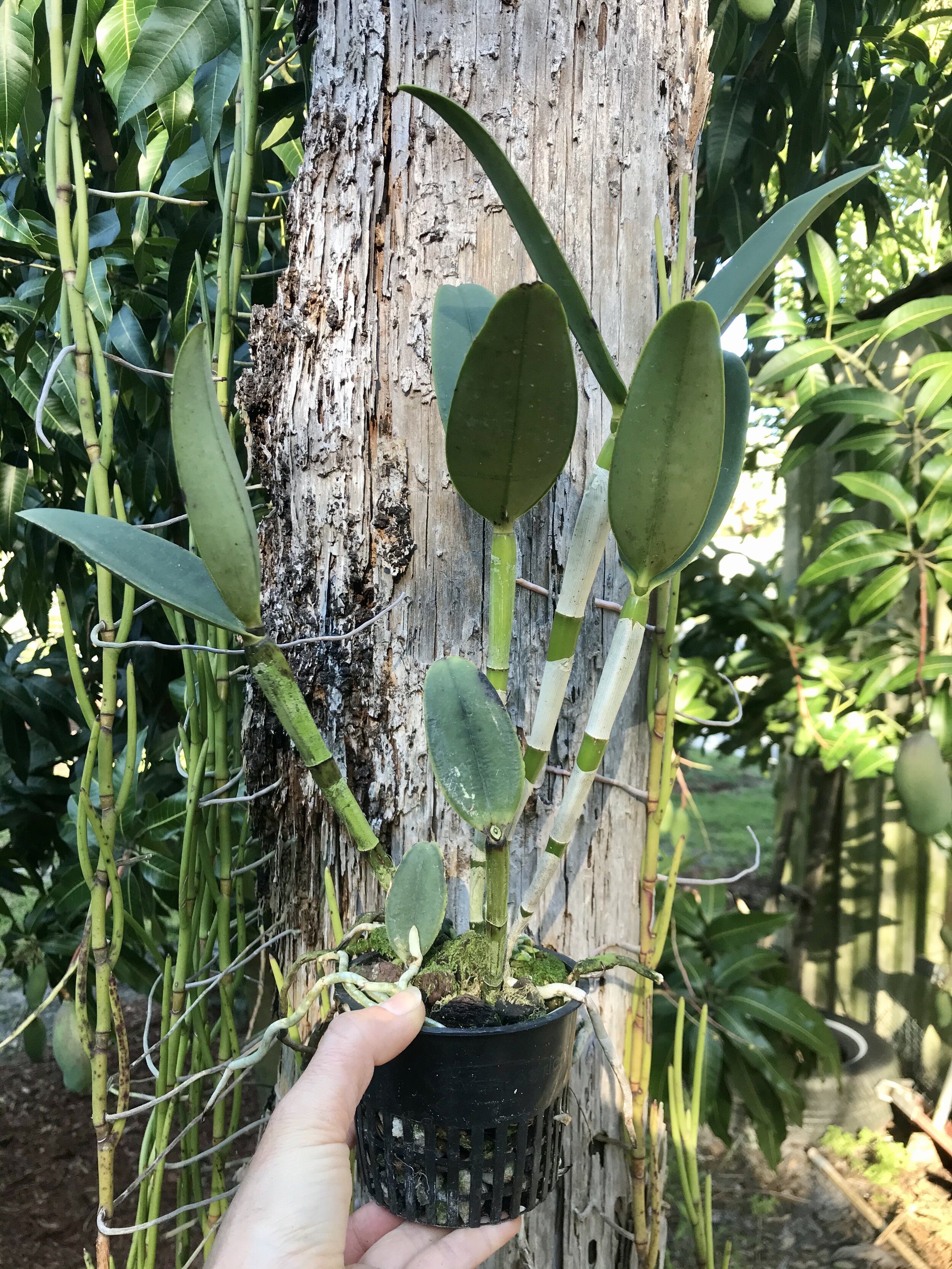 1EAC4729-4DA8-4DAC-8A8D-D12E2158876C