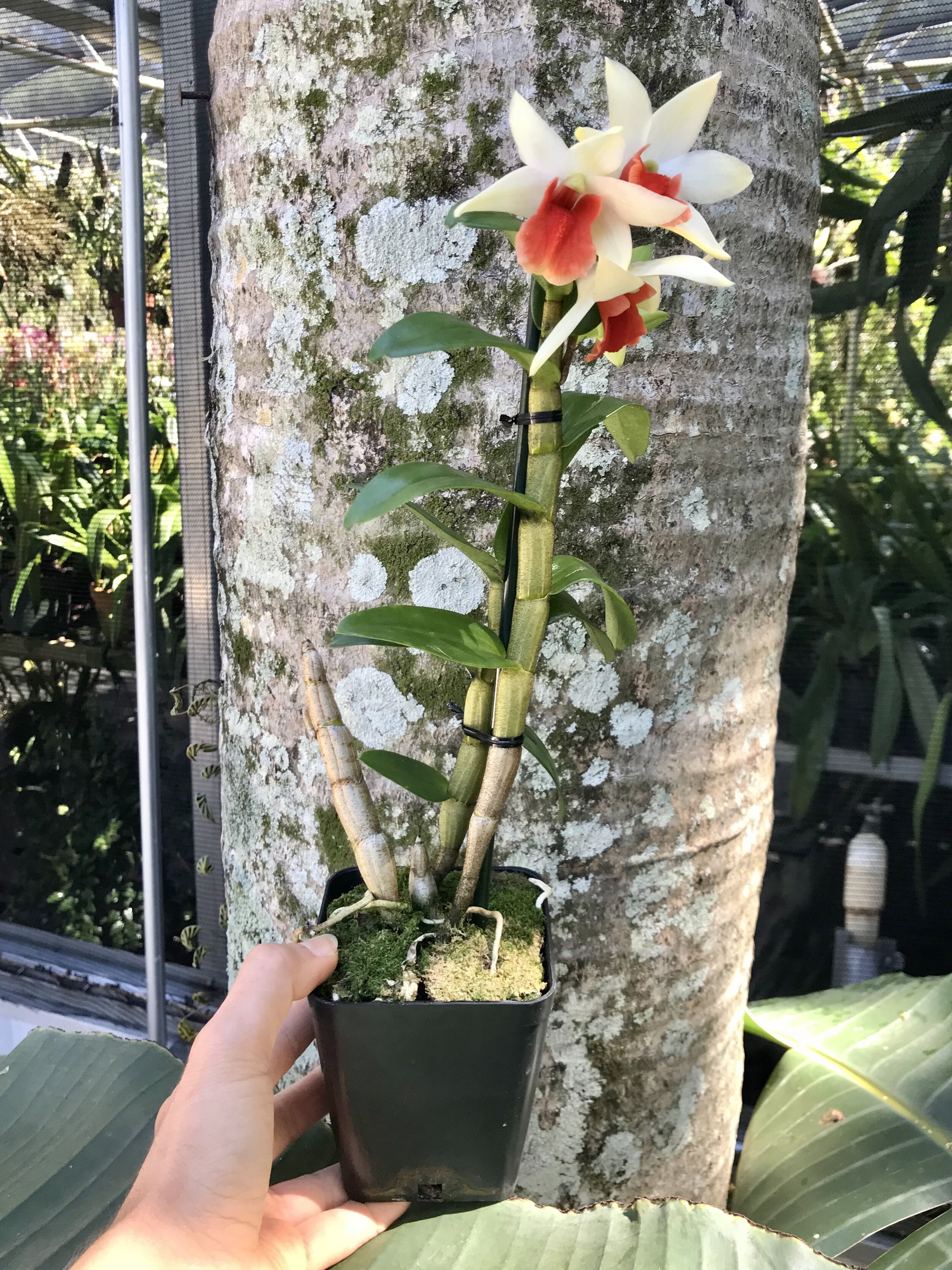 E25652D1-1DC0-49B6-8473-B1D39993CDDC