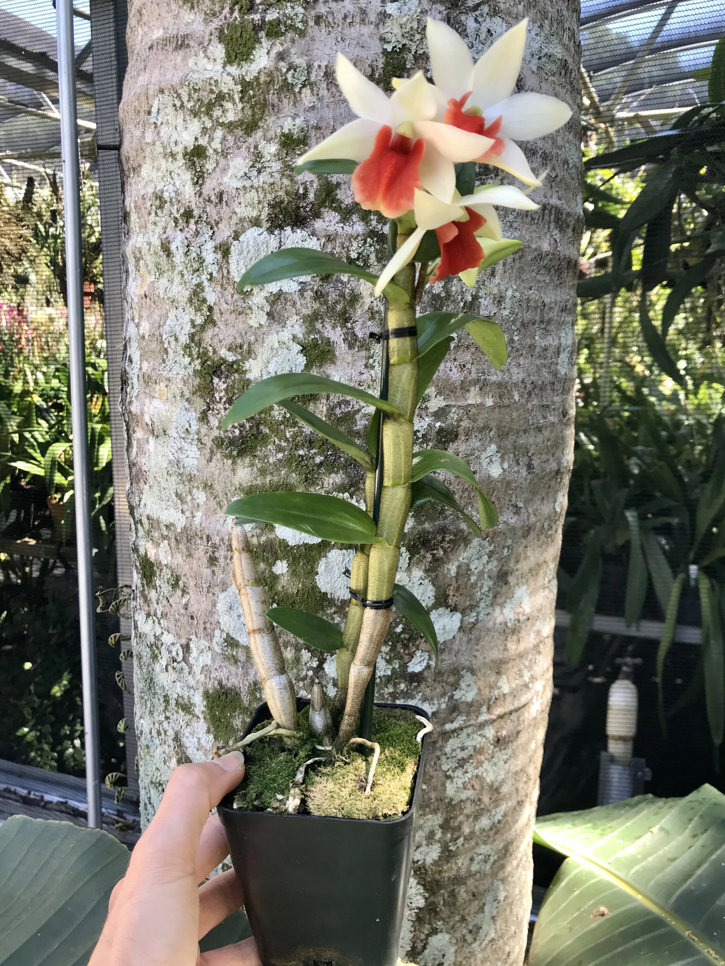 FD6829C2-EDD0-4DA4-A587-A77024096256