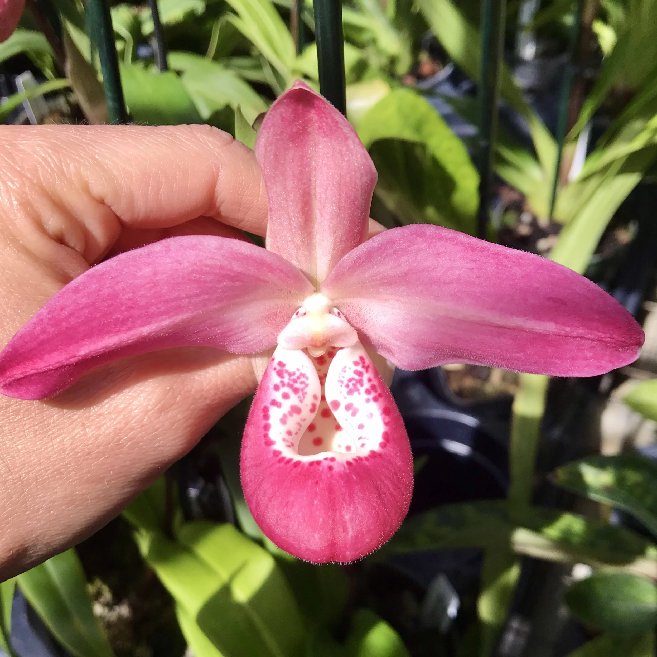 C2B736AB-DD8C-4FB4-AC32-787283B09870