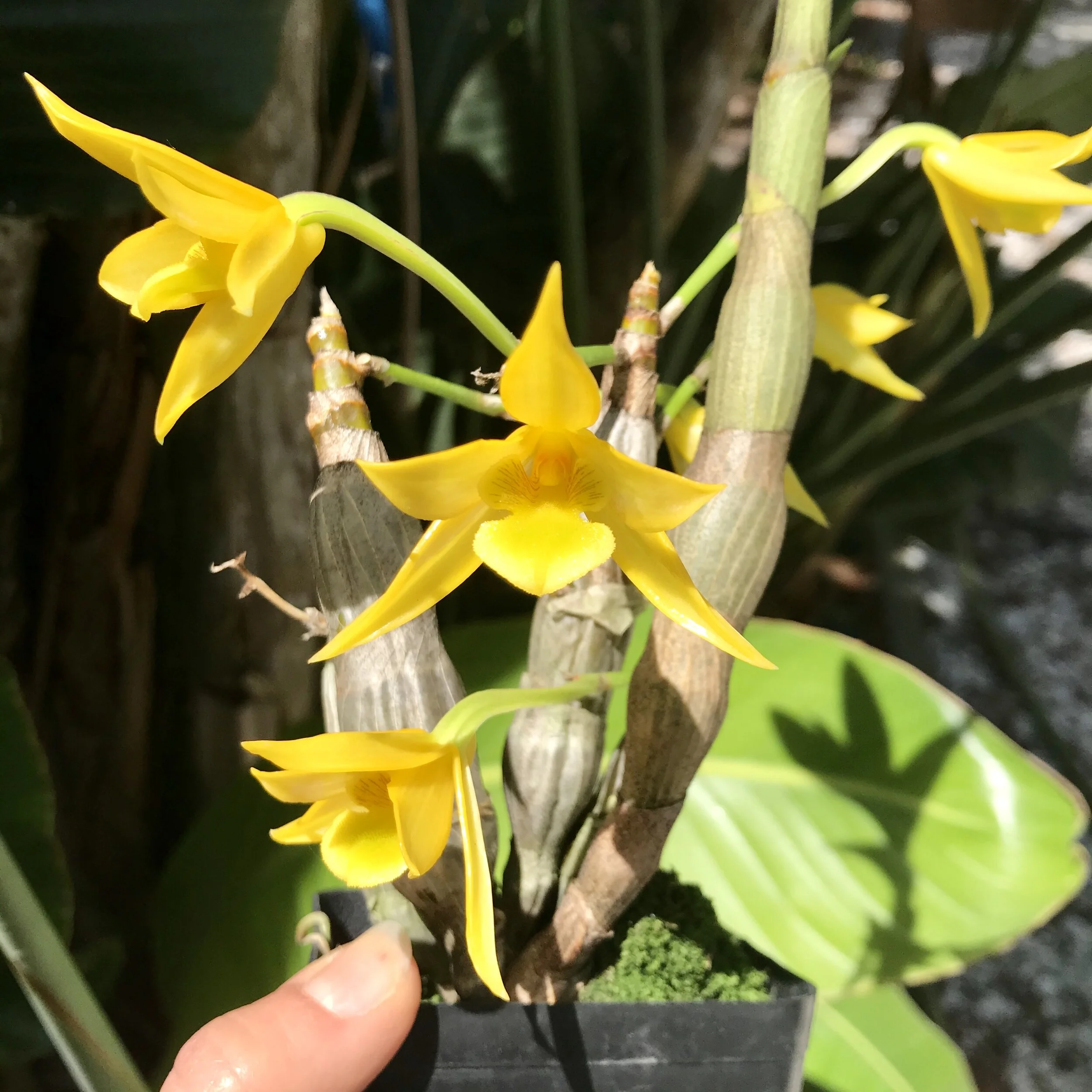 8CD4E8BA-F246-4312-924E-7C5FEA609BBE