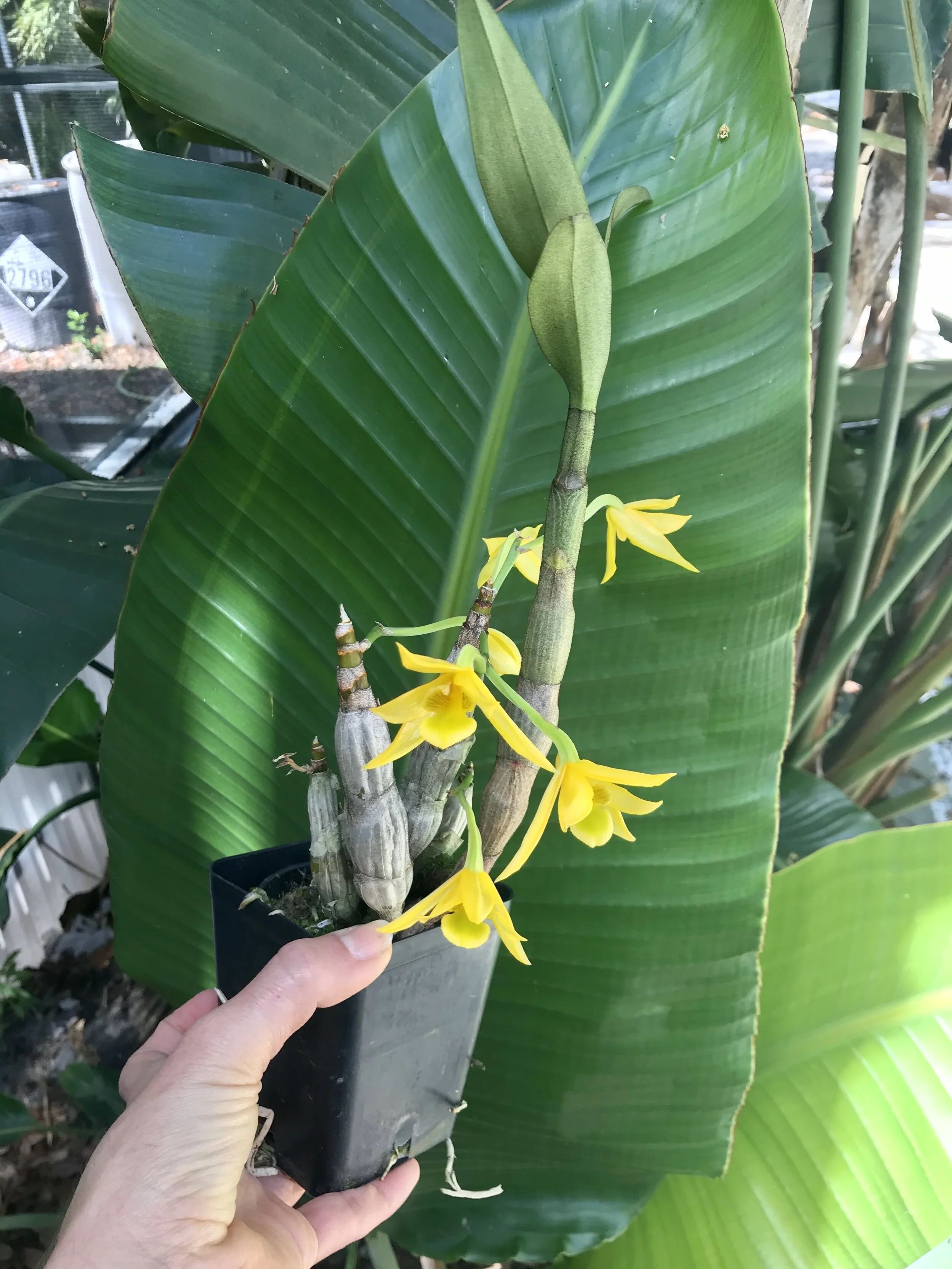 3237C8A9-A4D4-40B6-9CDF-B2C335A5704F