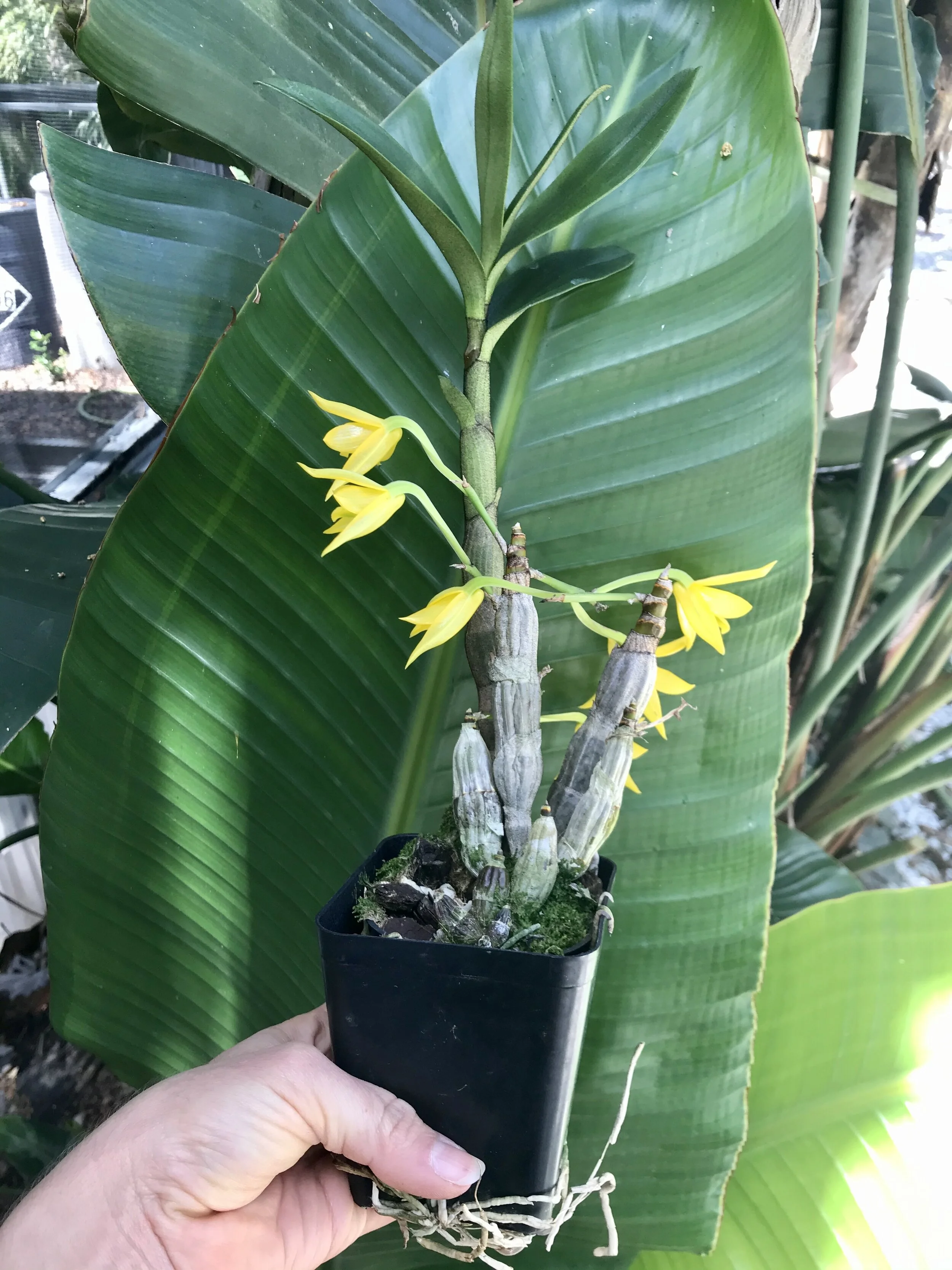 F49D98FC-7439-42AE-A0ED-37BF3D9744C0