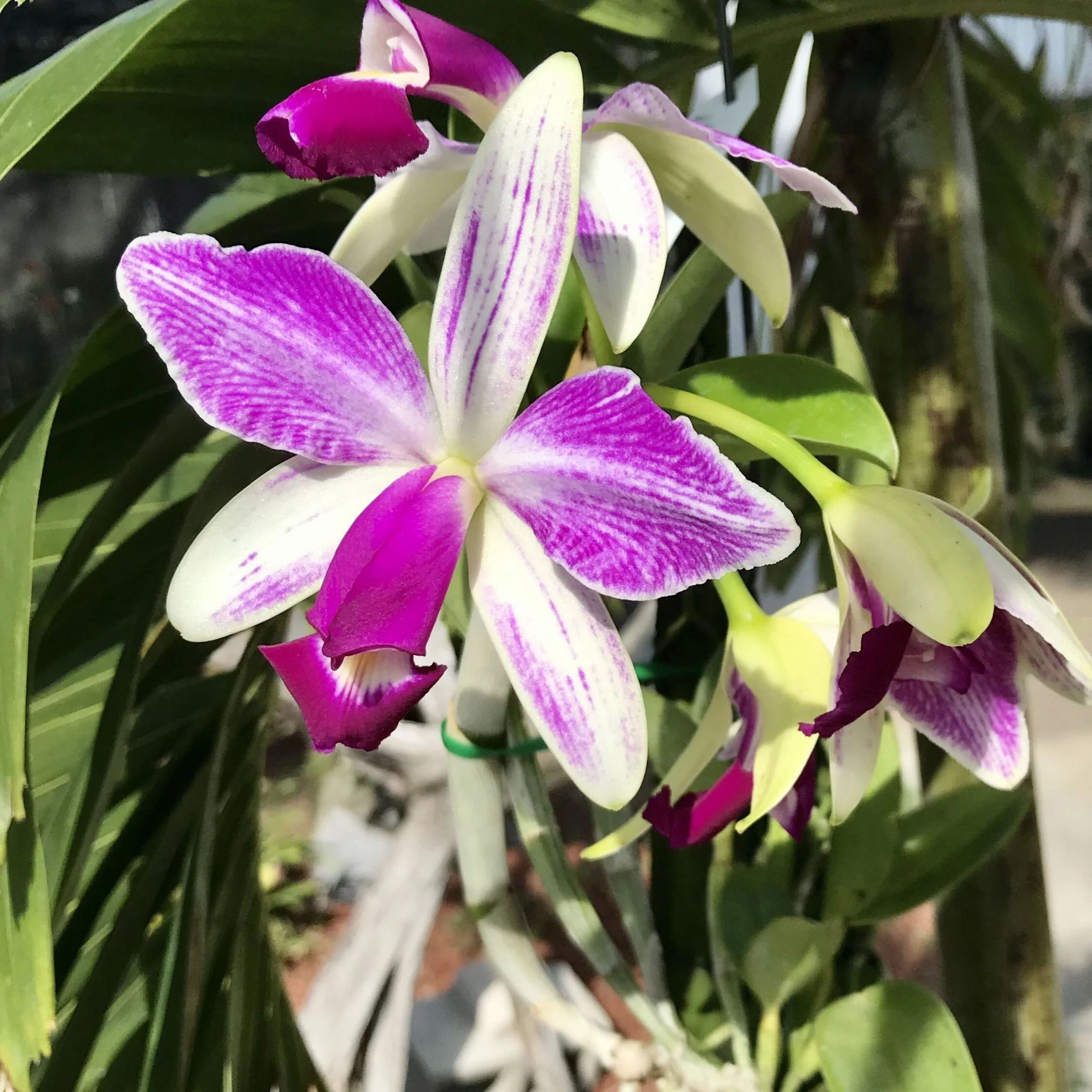 DF9CF9B3-F9F8-4363-B178-A13B6E795361