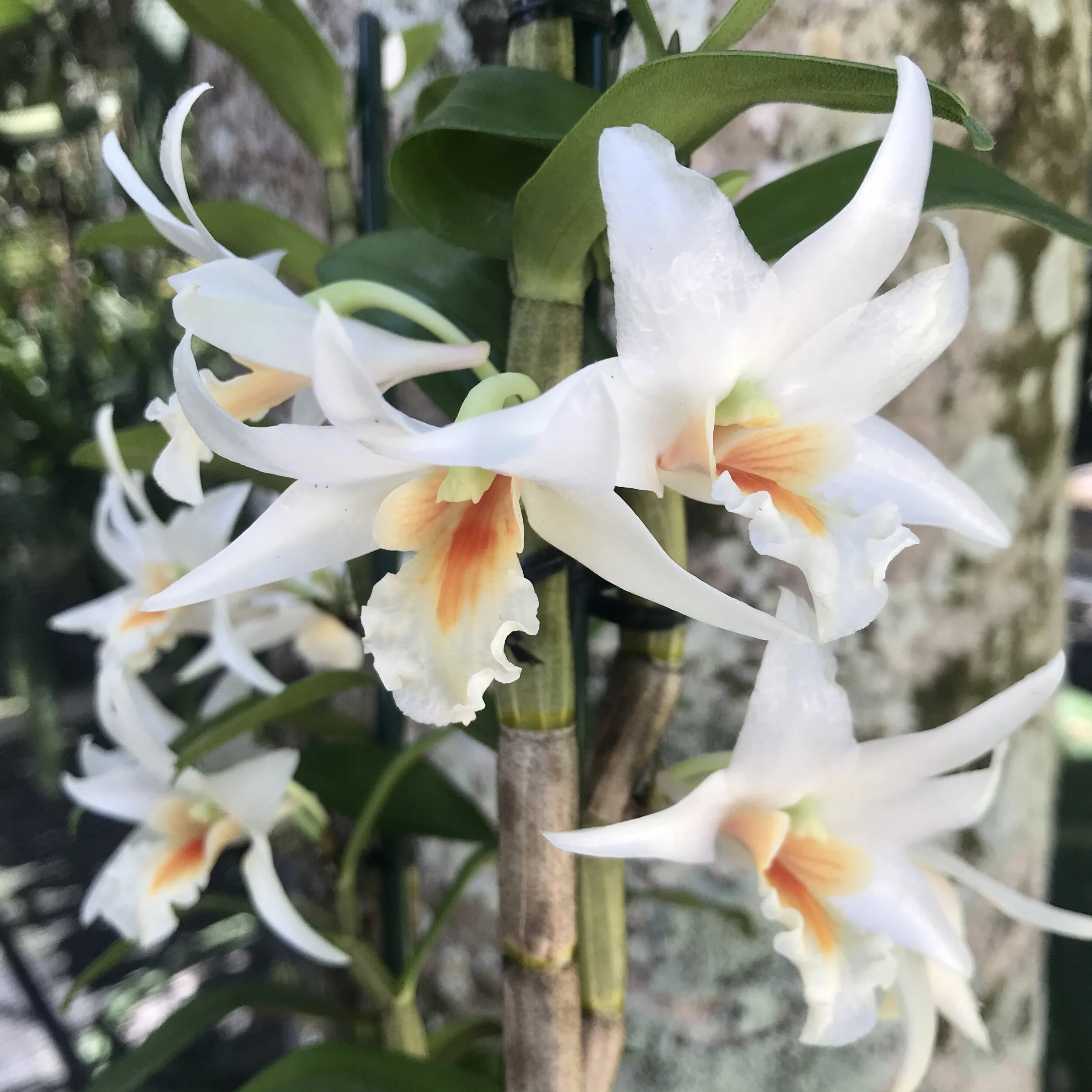 A25EF4DF-AA23-4FF4-A0E0-CC11955A90E6