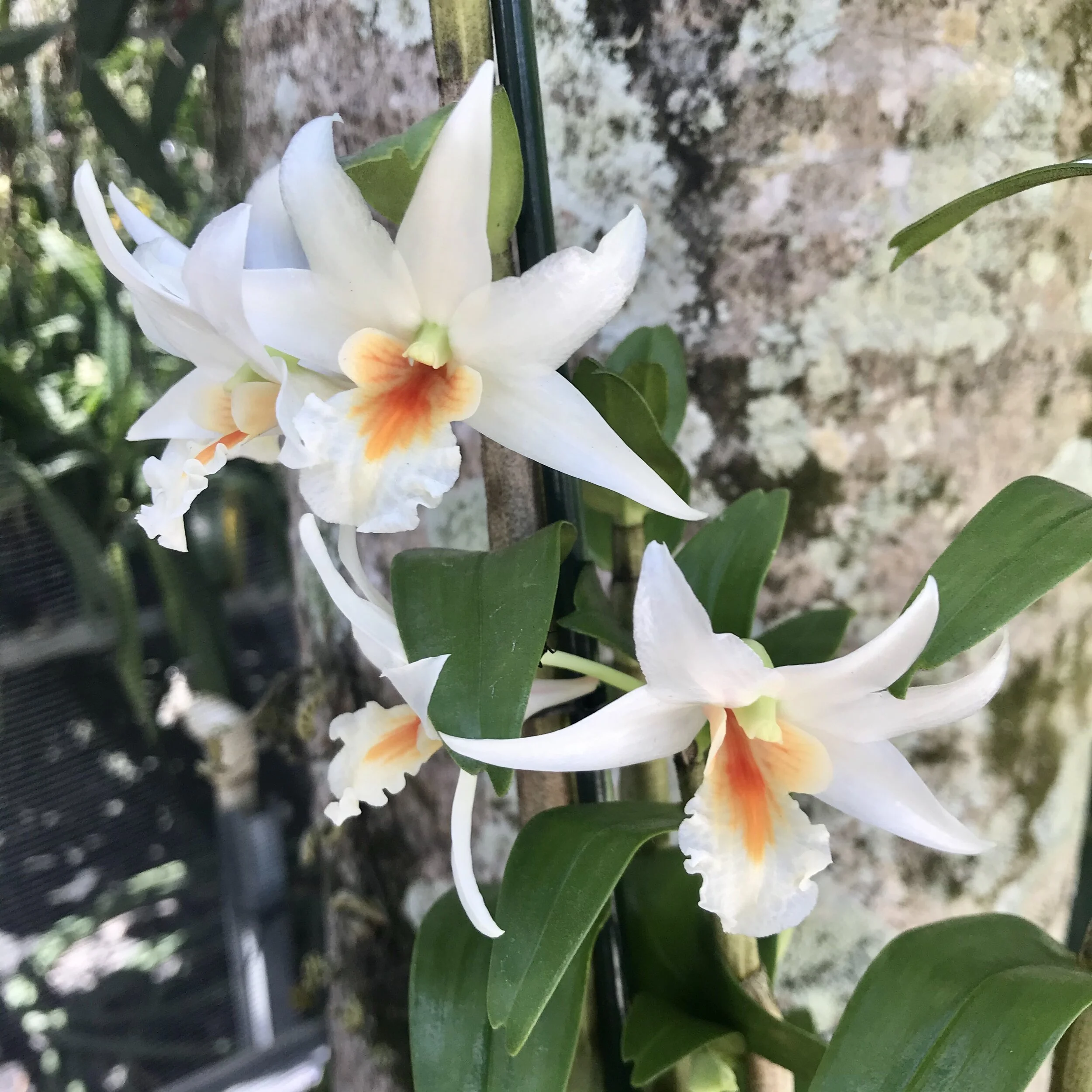 37AB707D-A8D7-4EA2-8CDF-180C17665457