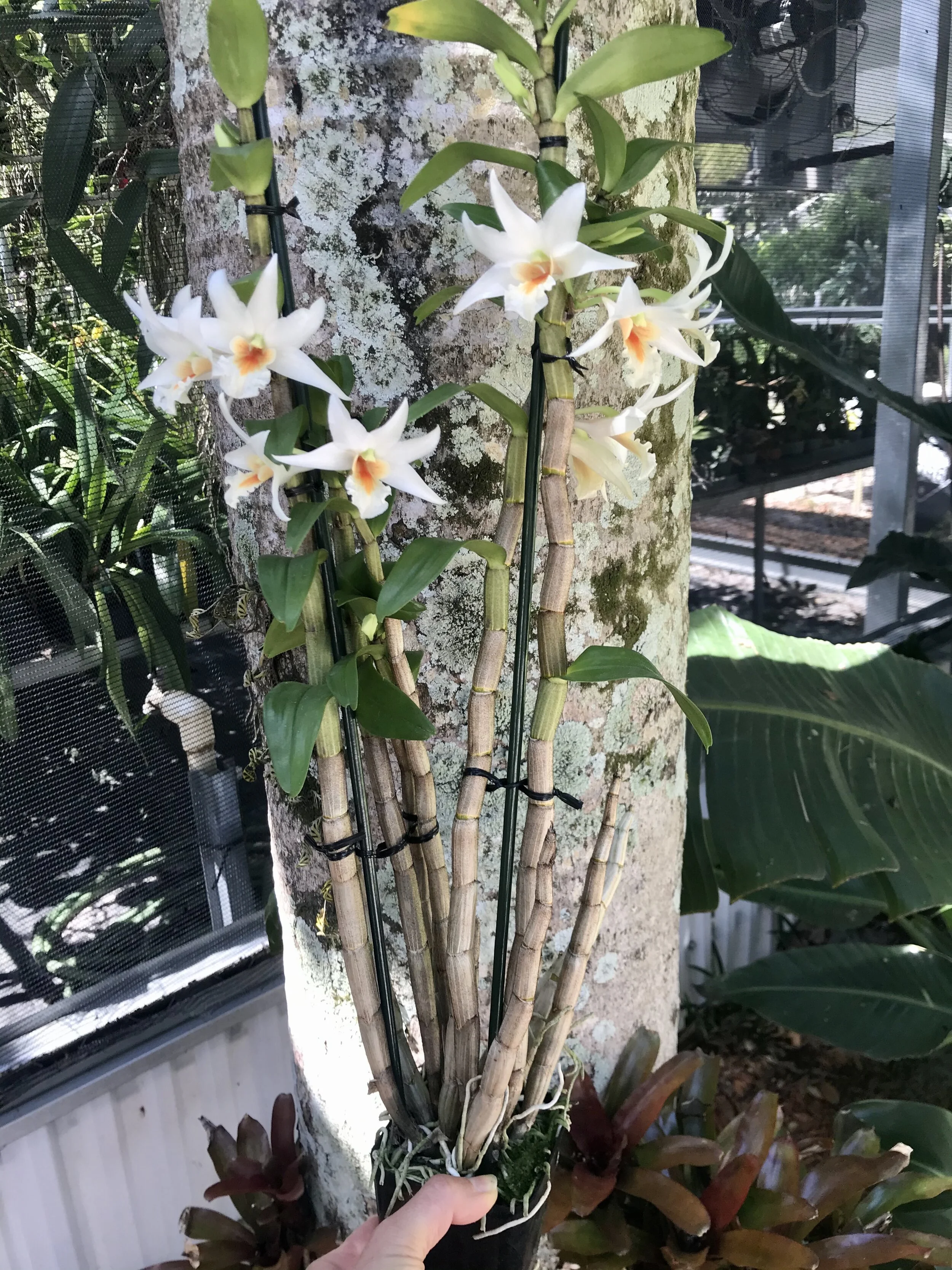 67689CCC-92D5-4458-AA4C-6243FD4BCD7A