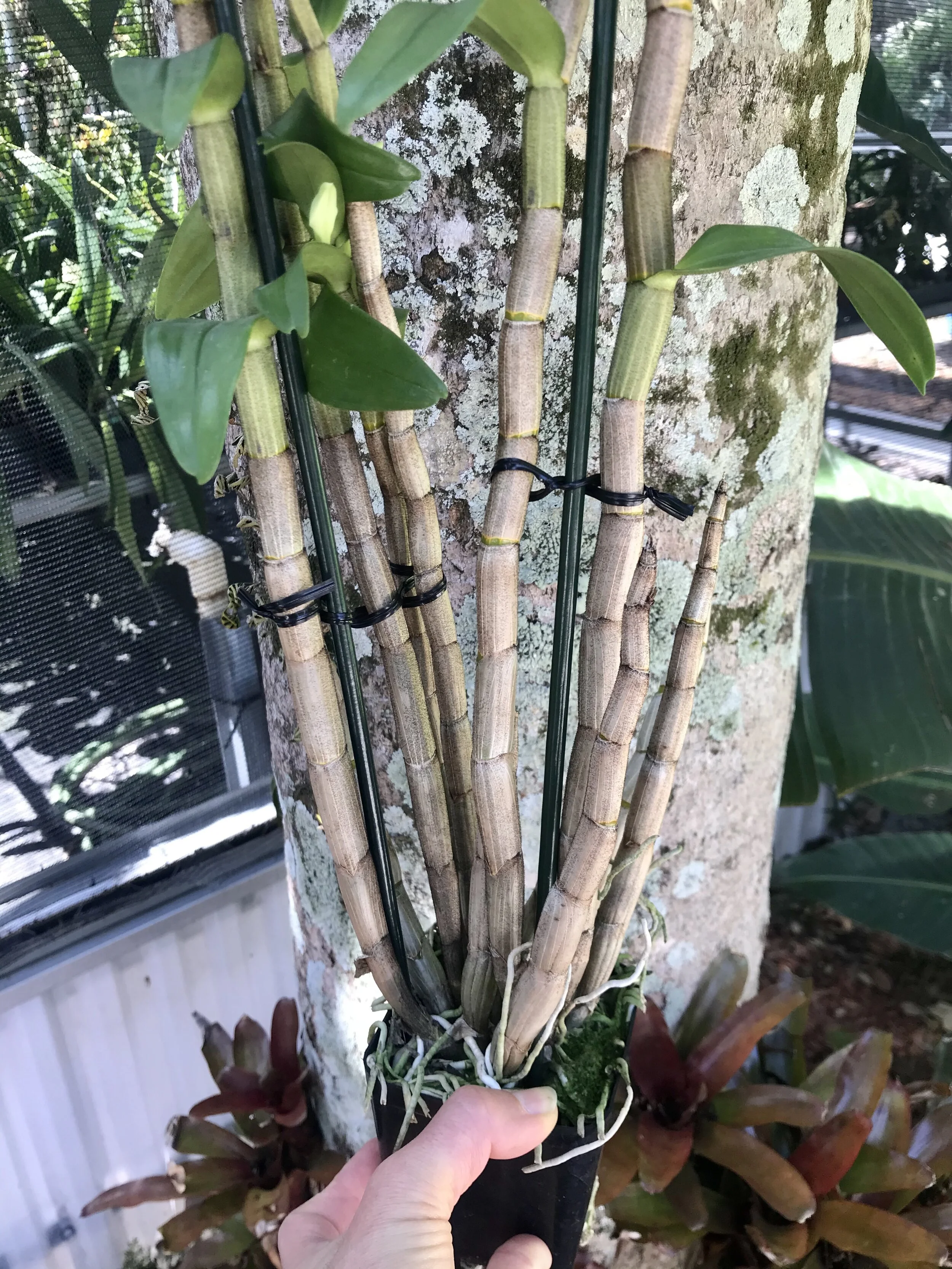 2F95F095-8387-4D37-AB16-98FA7EAEF6F4