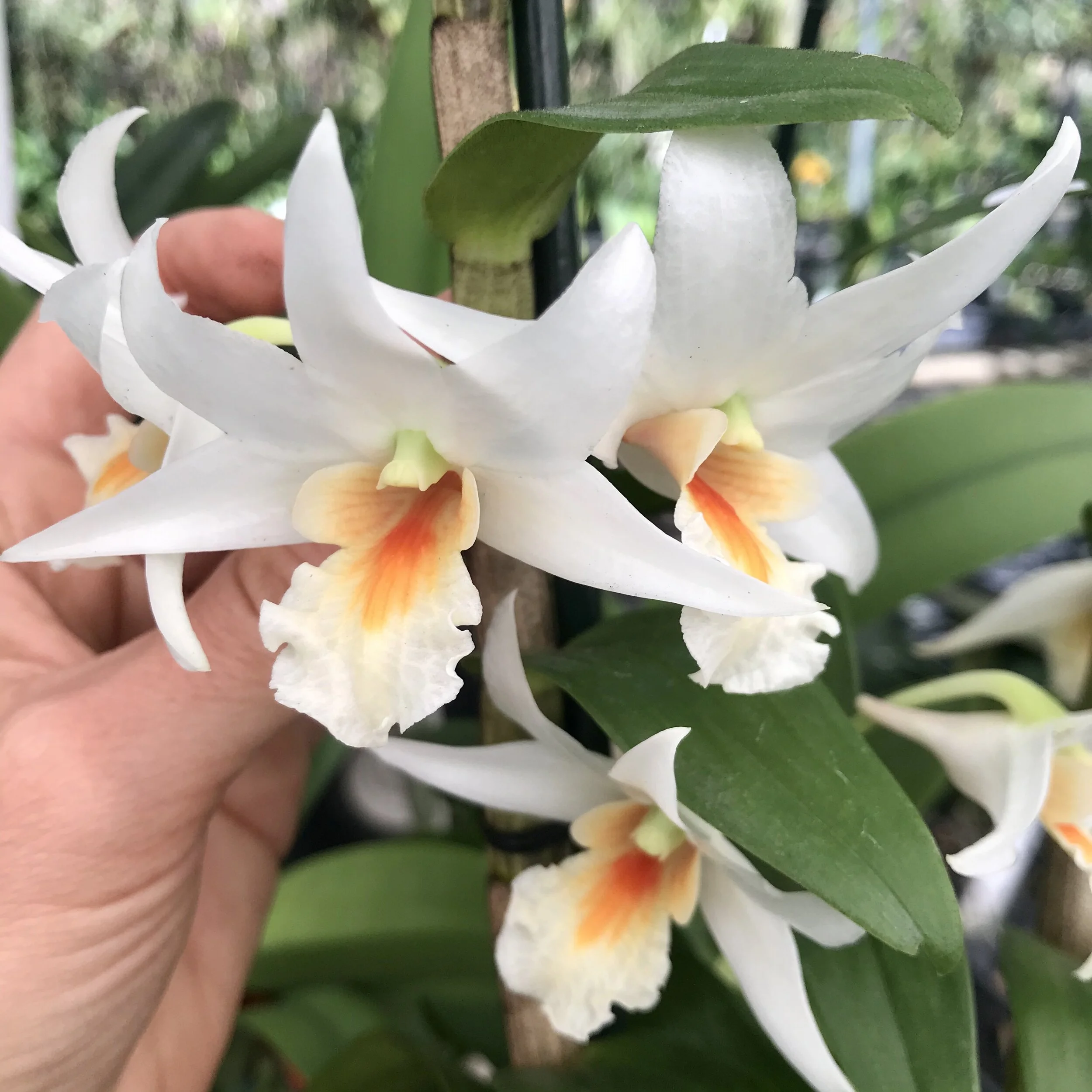 32994A14-11C1-4C01-9BA6-B4A1137D0C5D