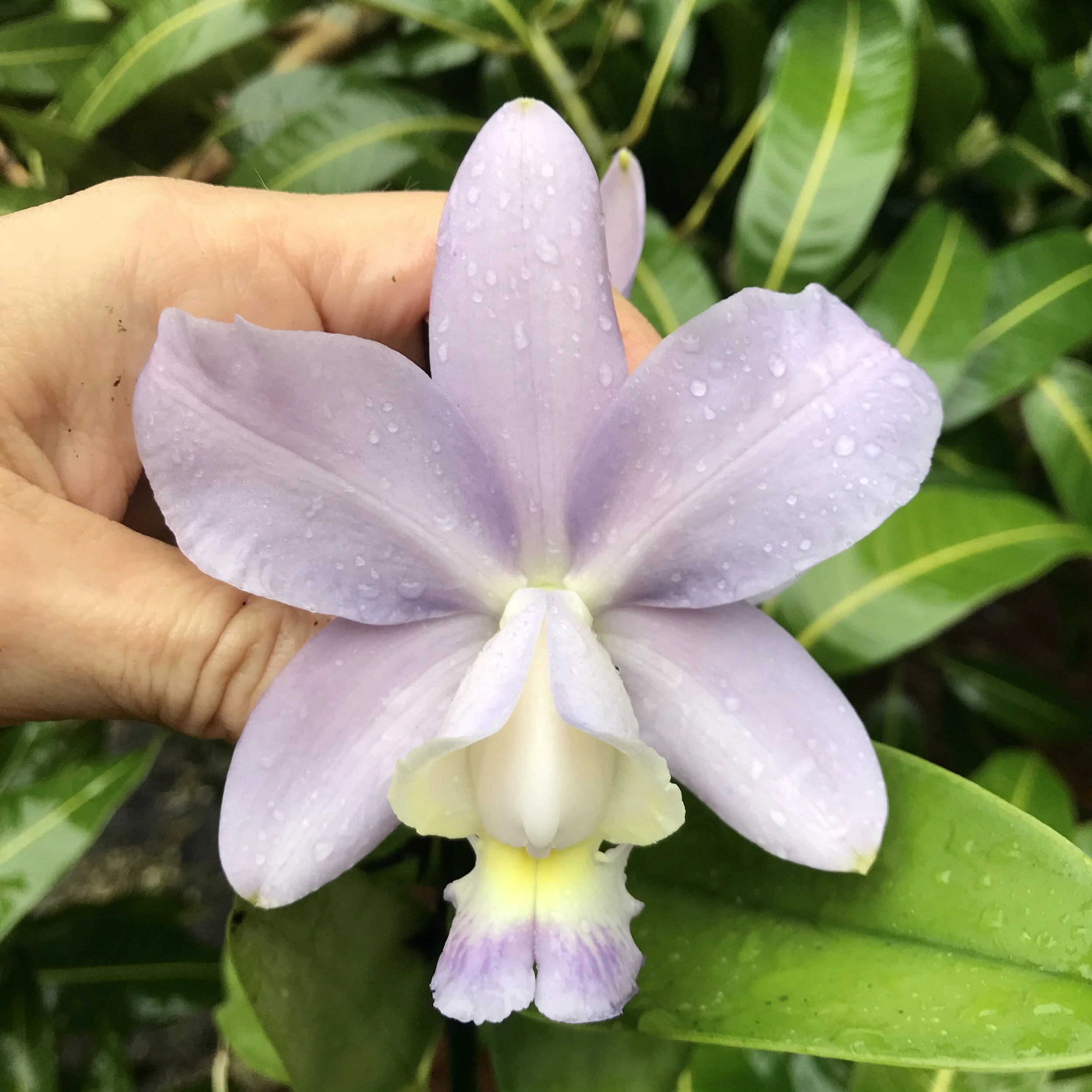 D6B69E5C-981A-4C46-BF6E-7E08BAAE63FA