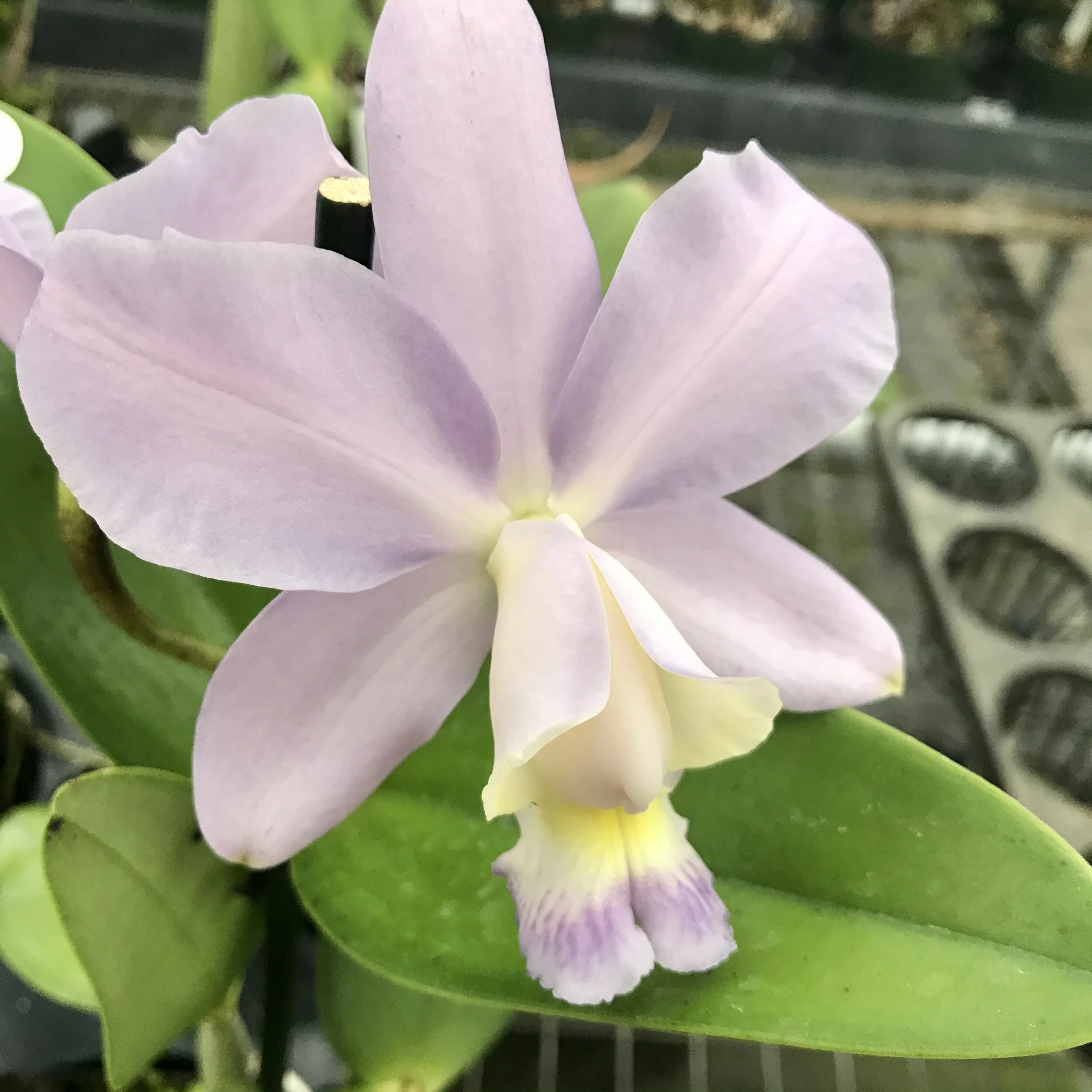 DB2A3768-BC49-46B7-9E54-16F9BED8D80D