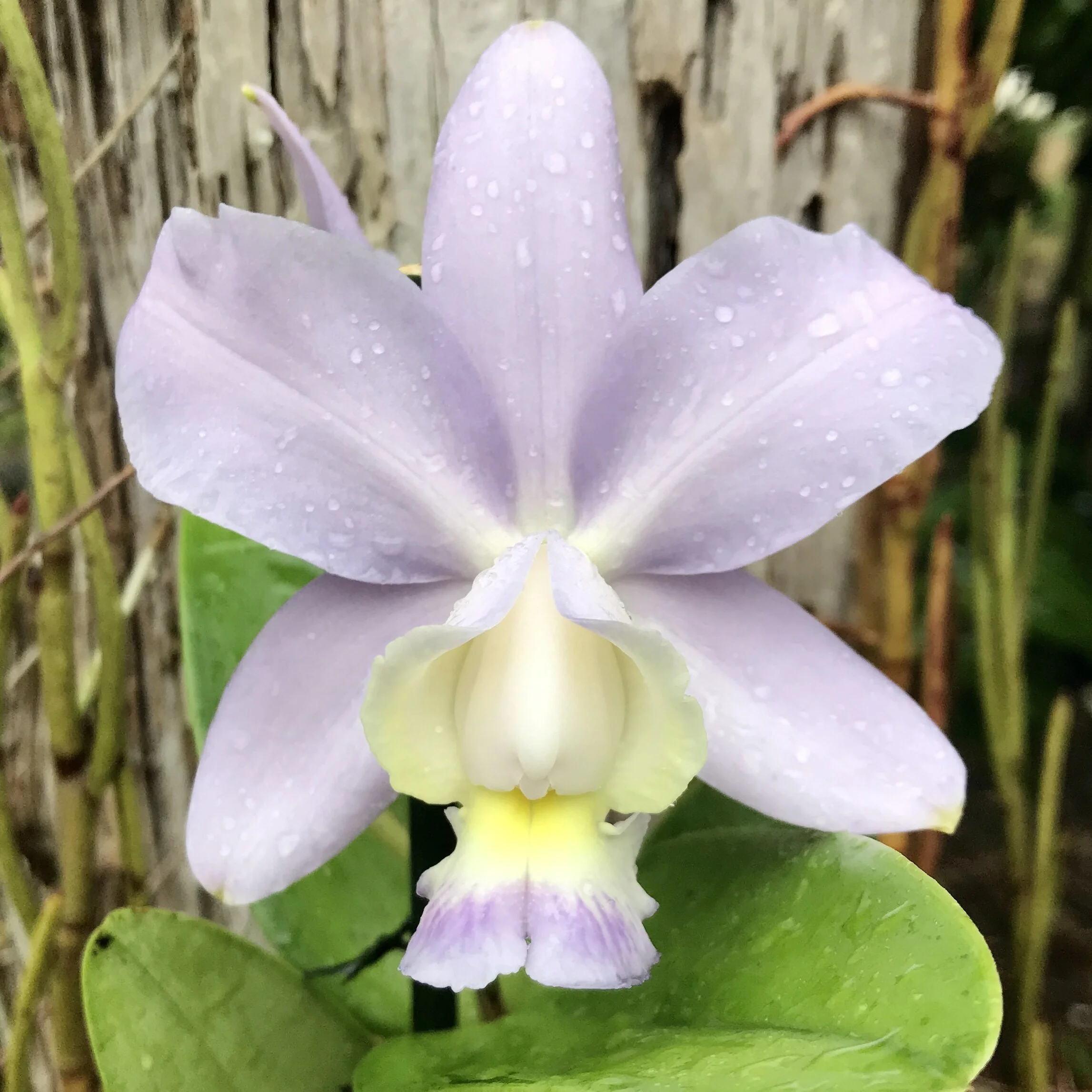 1F0C2ACB-57C6-4E58-9381-B2AADA091244