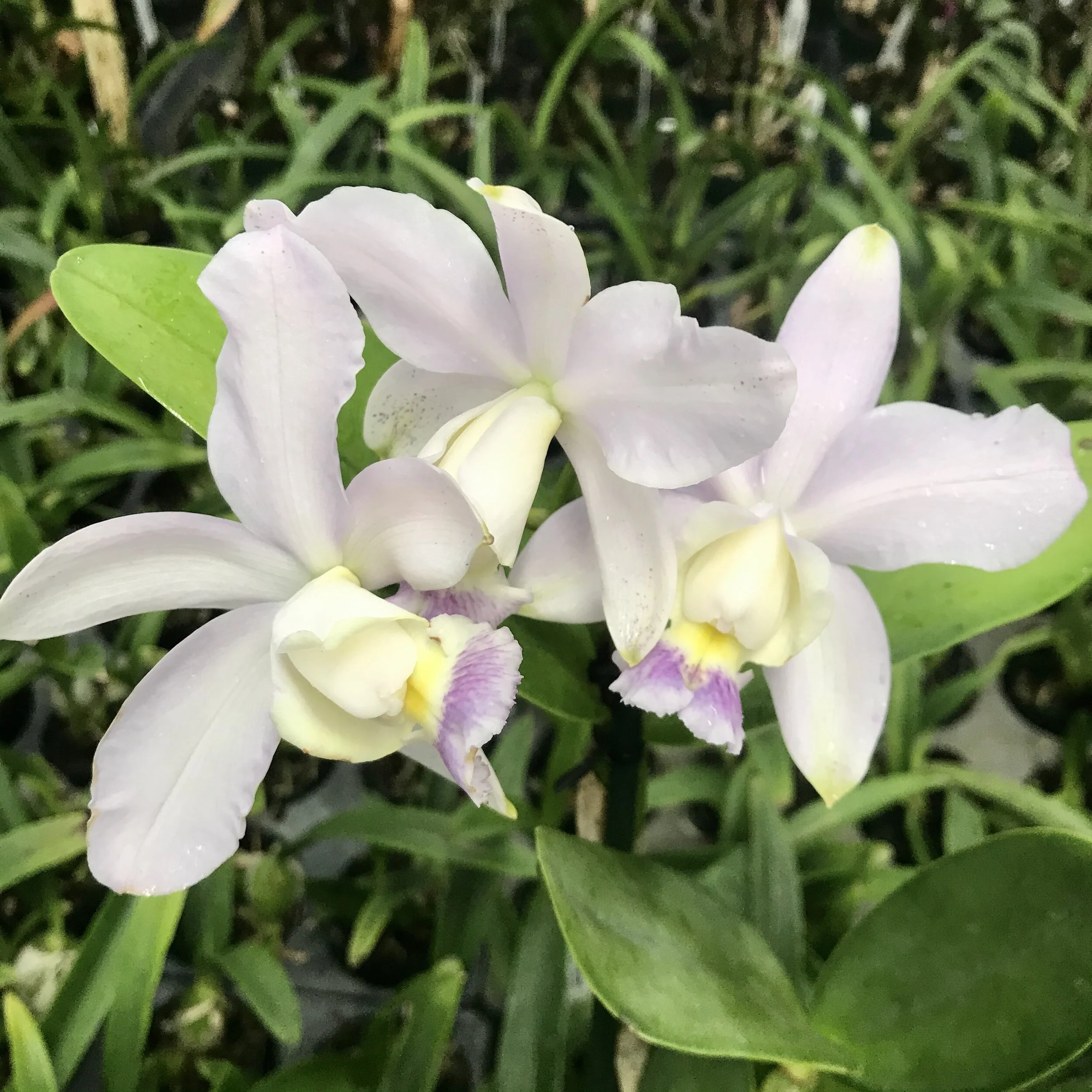 C4DED255-1071-4906-9349-FE74674F46DE