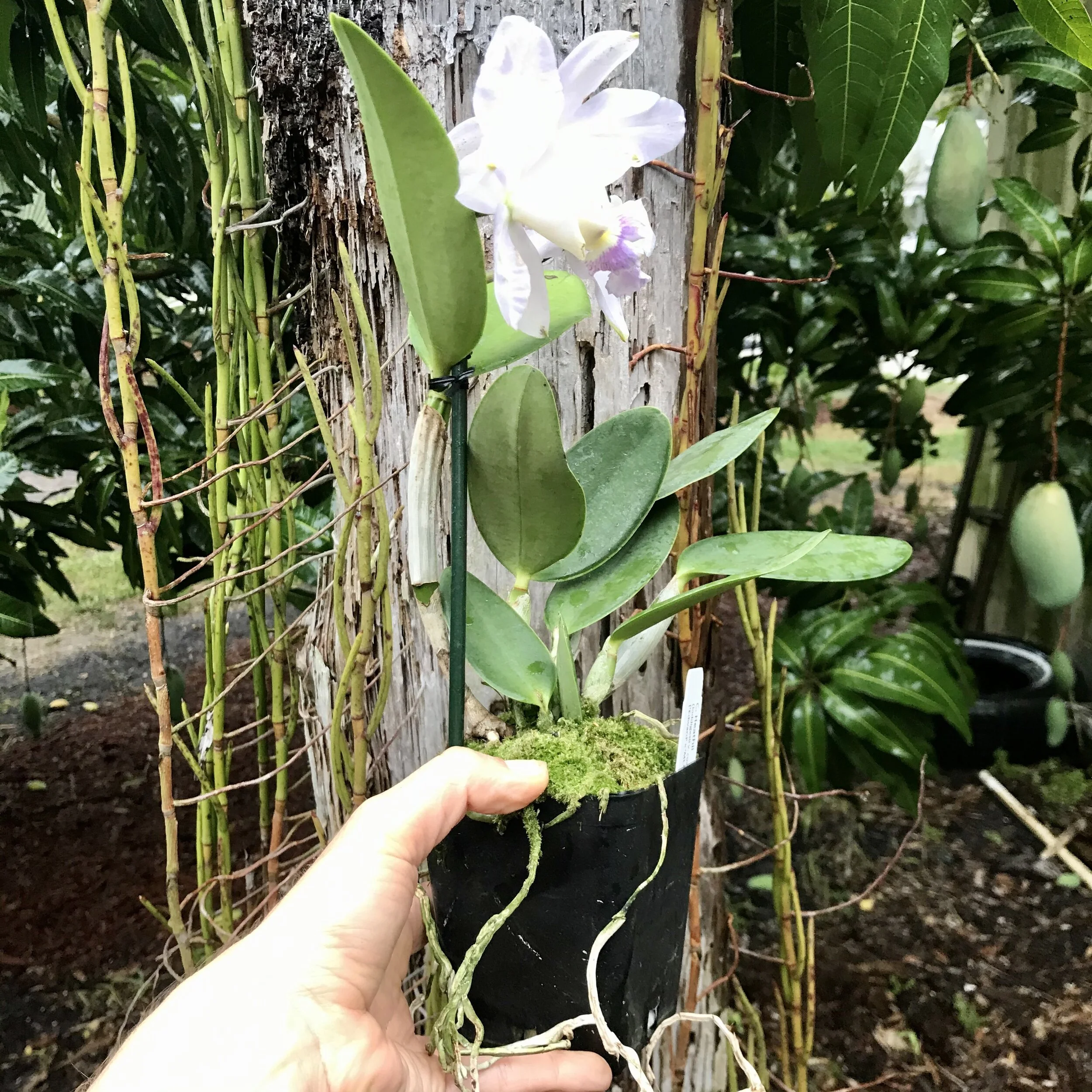 9576CDD6-BFB0-4F18-8CCF-D079A46EDBA1