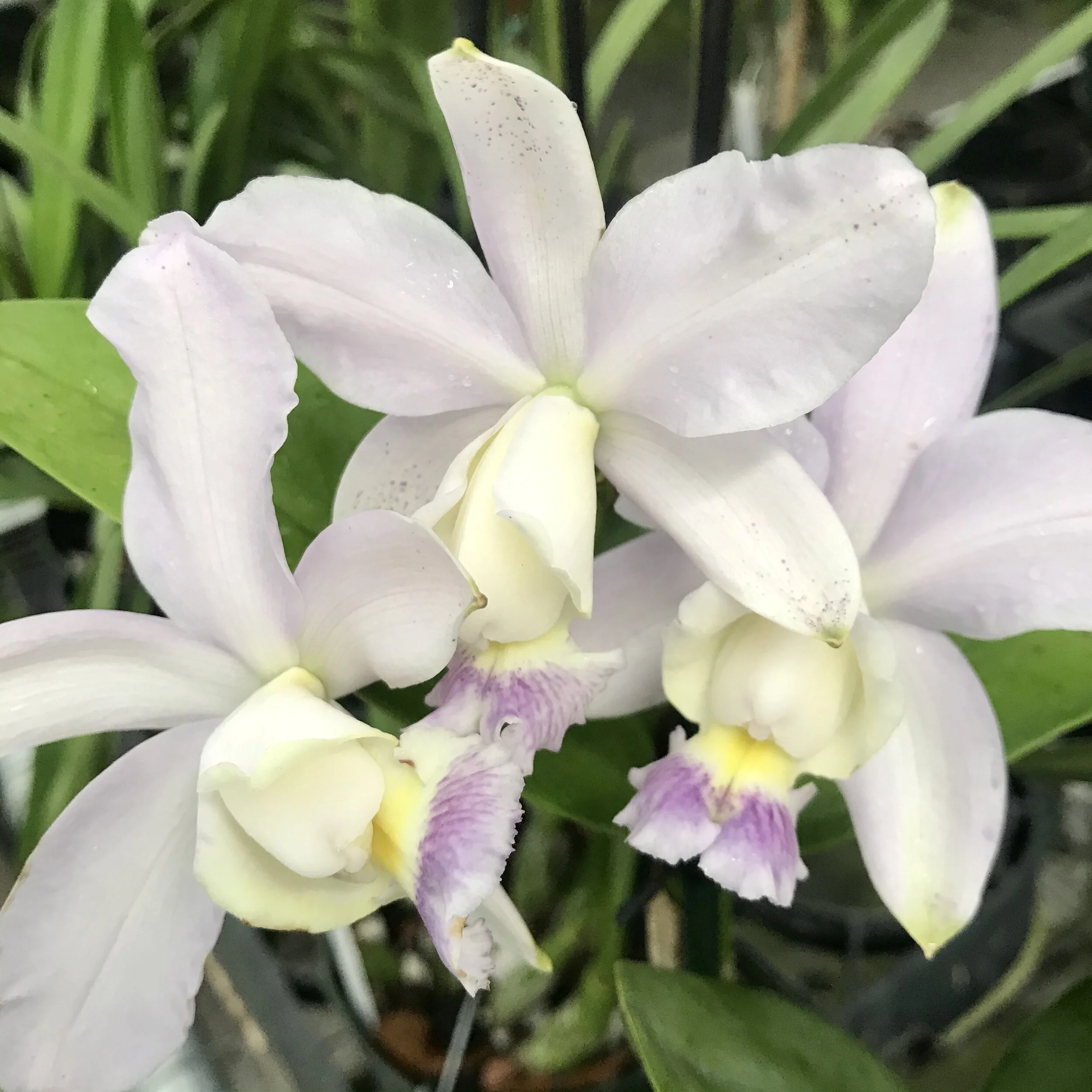 BD854DC6-7EAC-4983-8585-51265DCD3F78