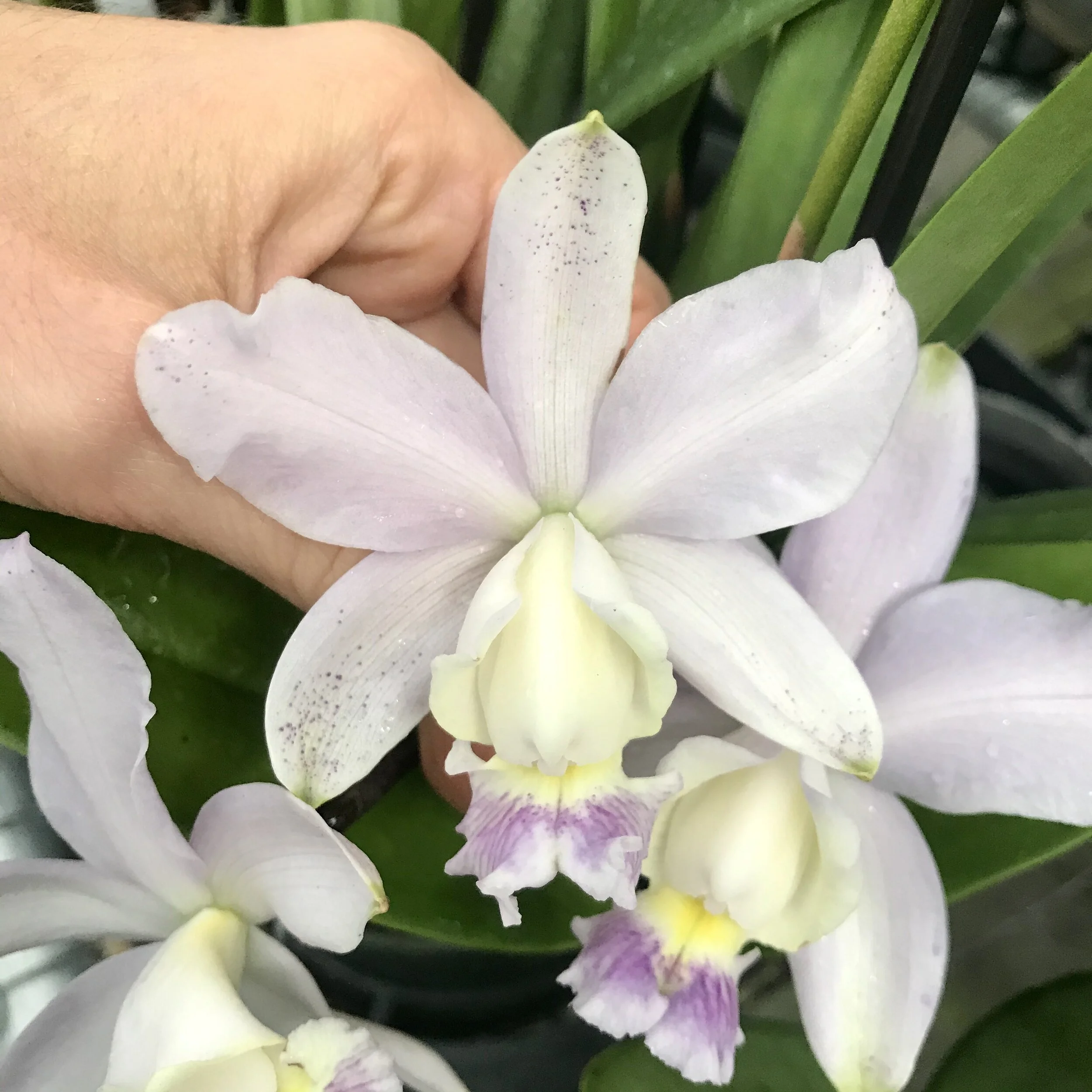 05518FCC-7000-44CF-965D-EBABABE4AA7E