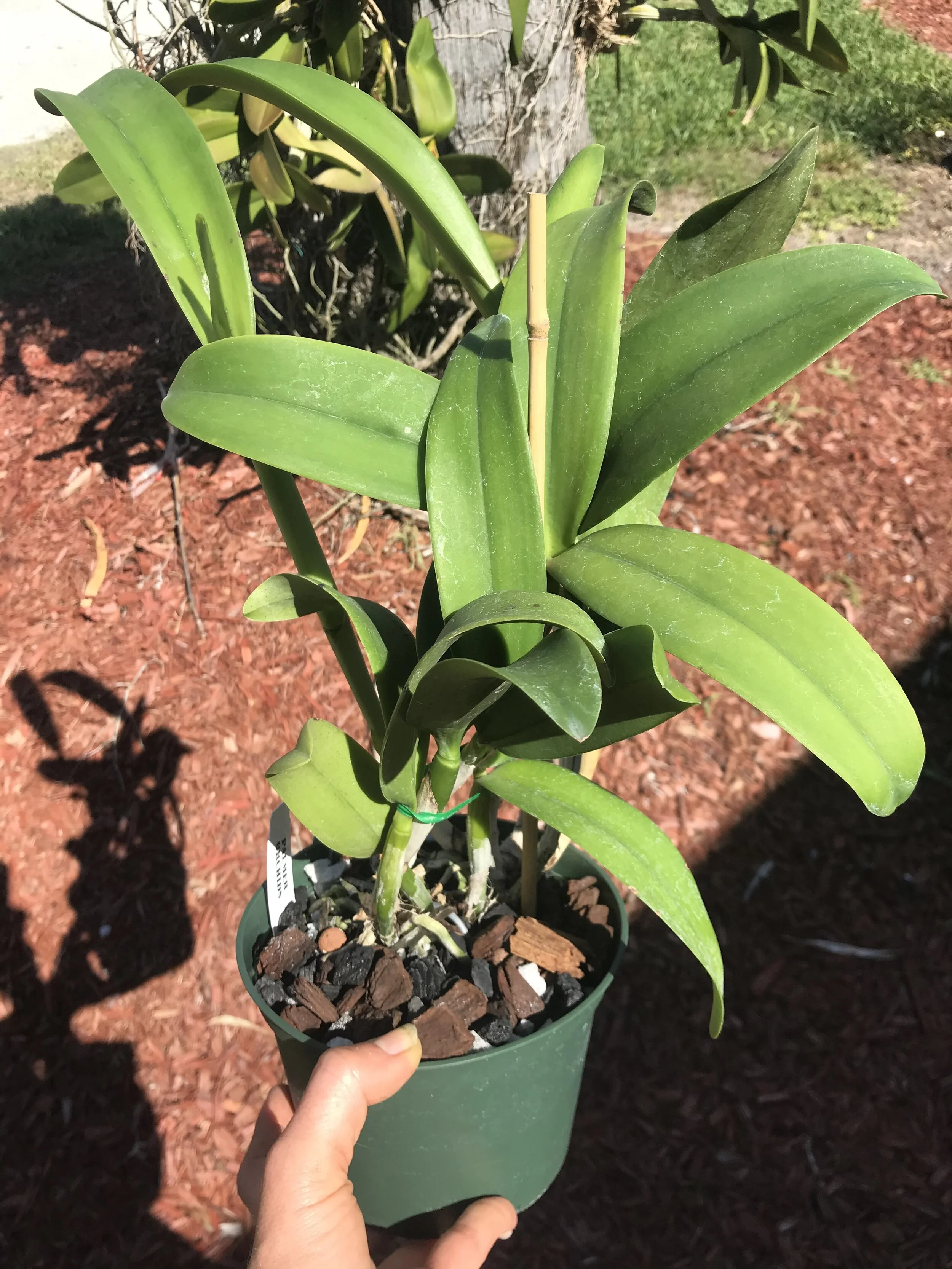 3ED654A1-D91F-4BB4-8958-9B08E905F913