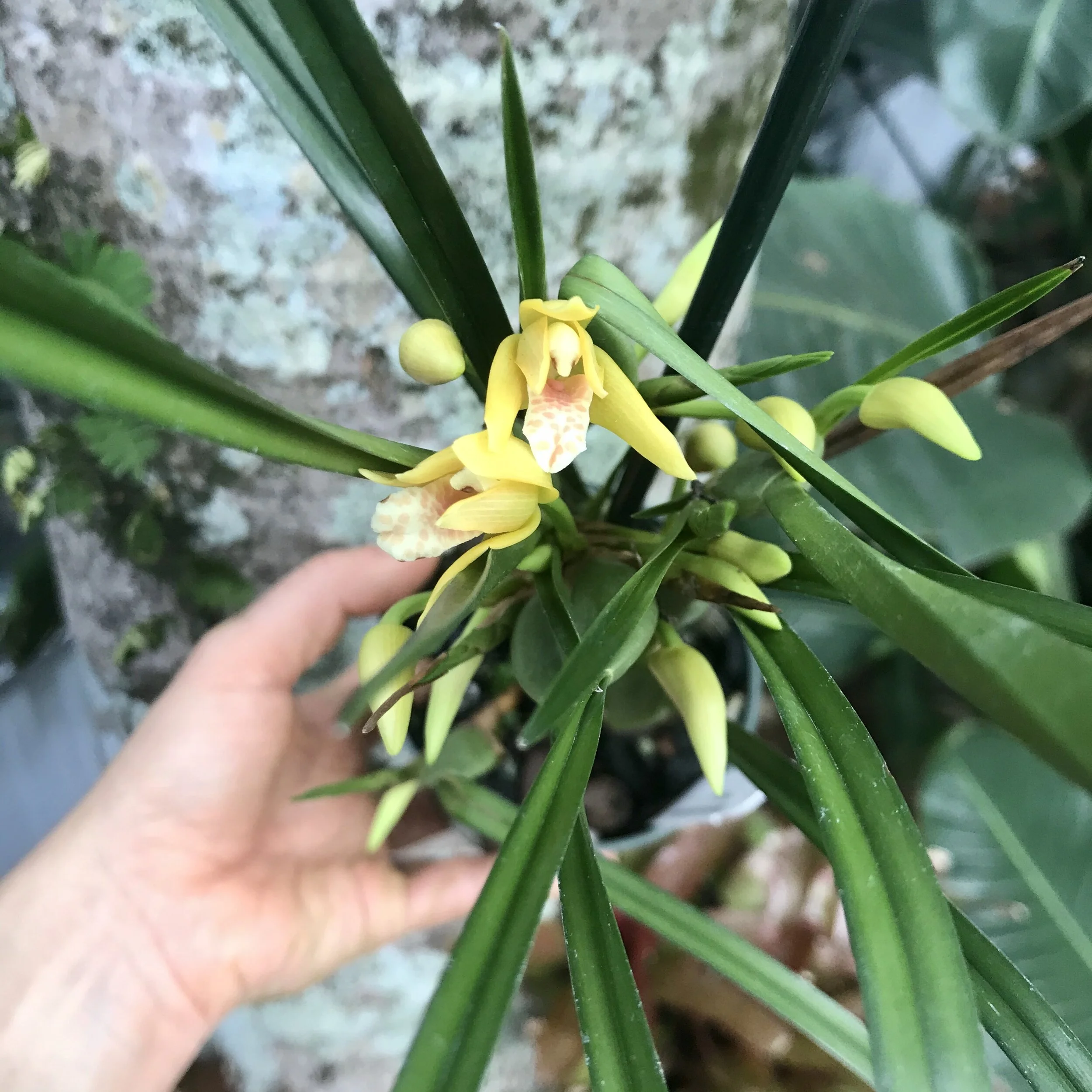 BDB09CDD-3C75-4CEF-BF2B-6F5E6D605A1B