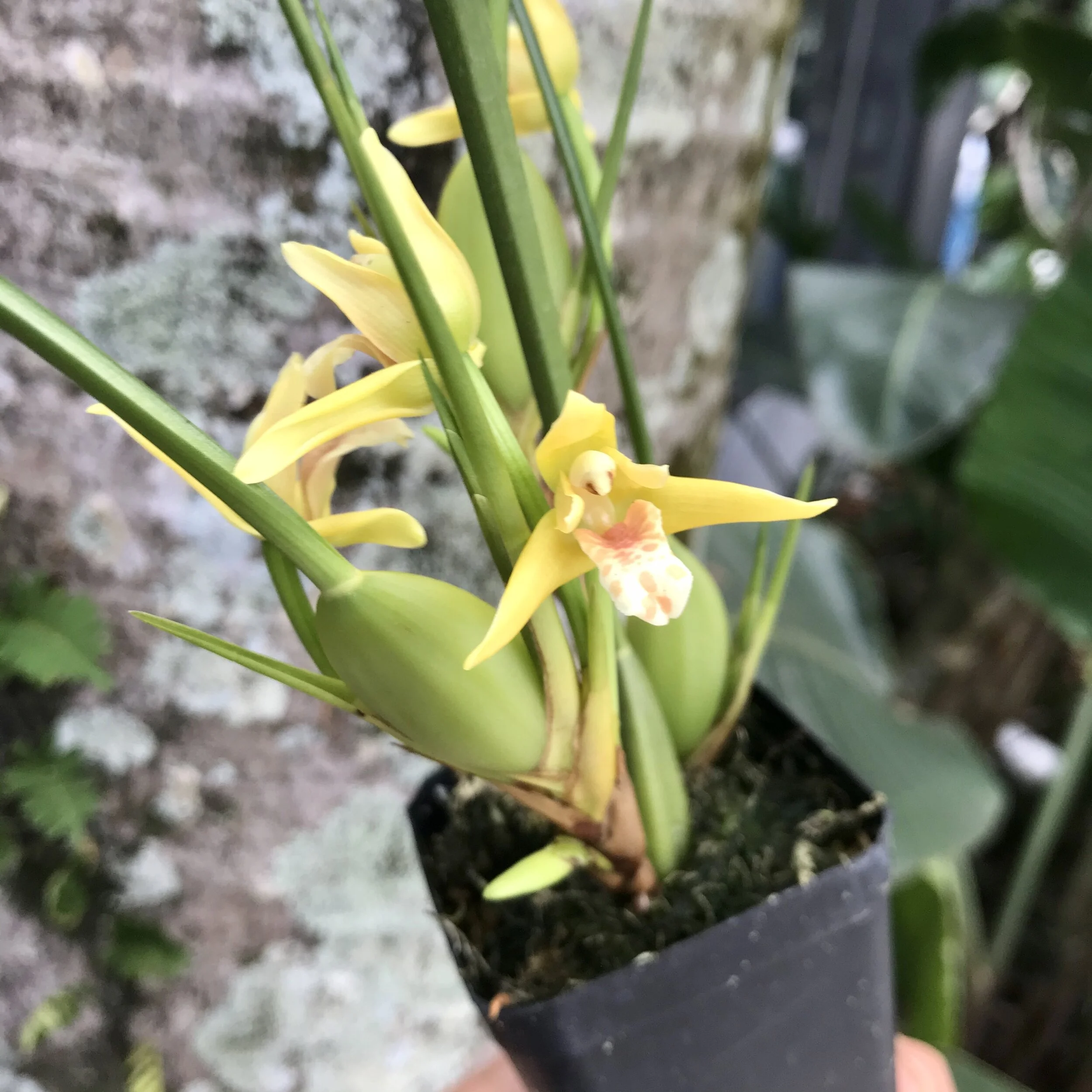 CF2328F4-31CD-47BD-9C48-3359E8DBF366