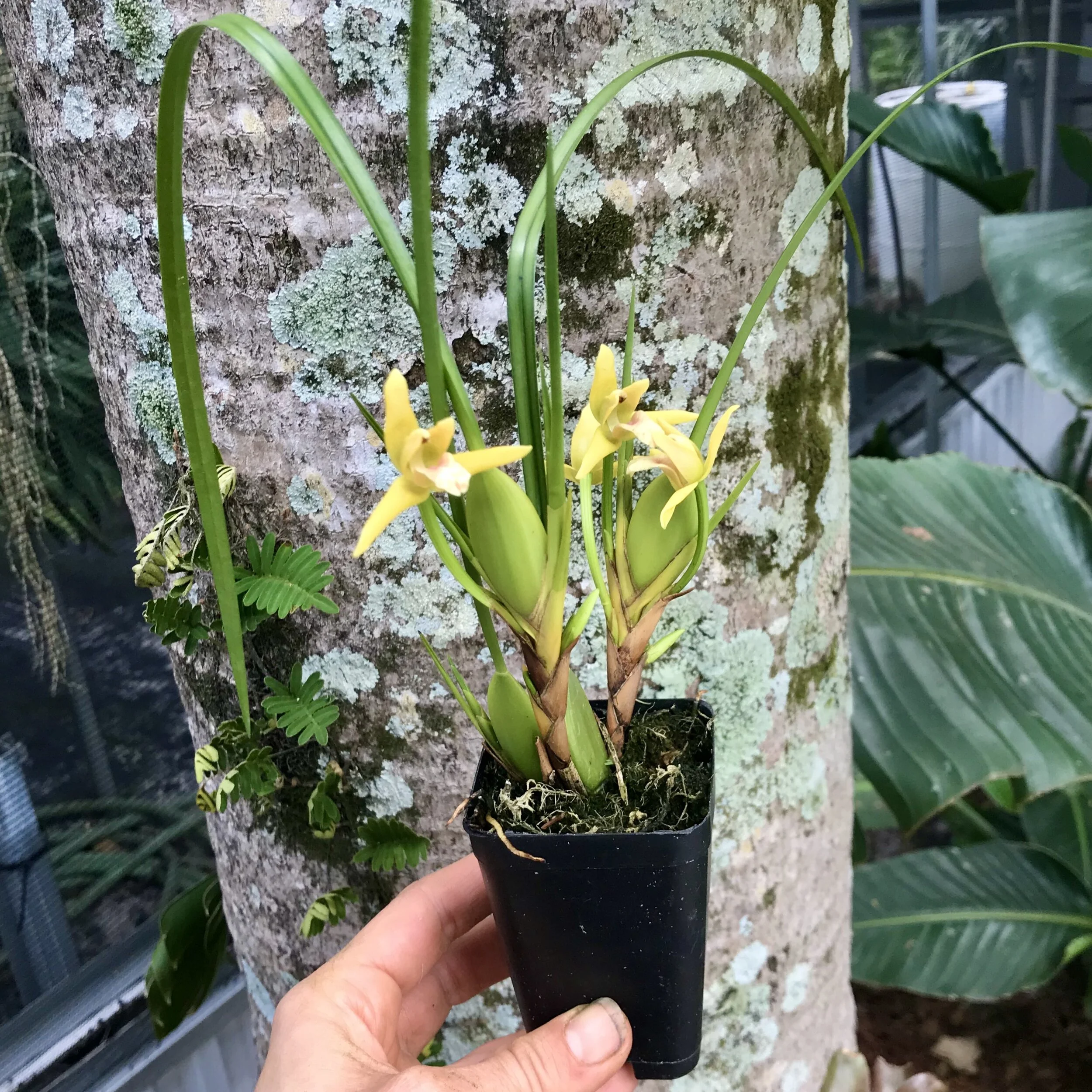 5124E3C6-A04A-4339-A331-94CCEFB75ADE