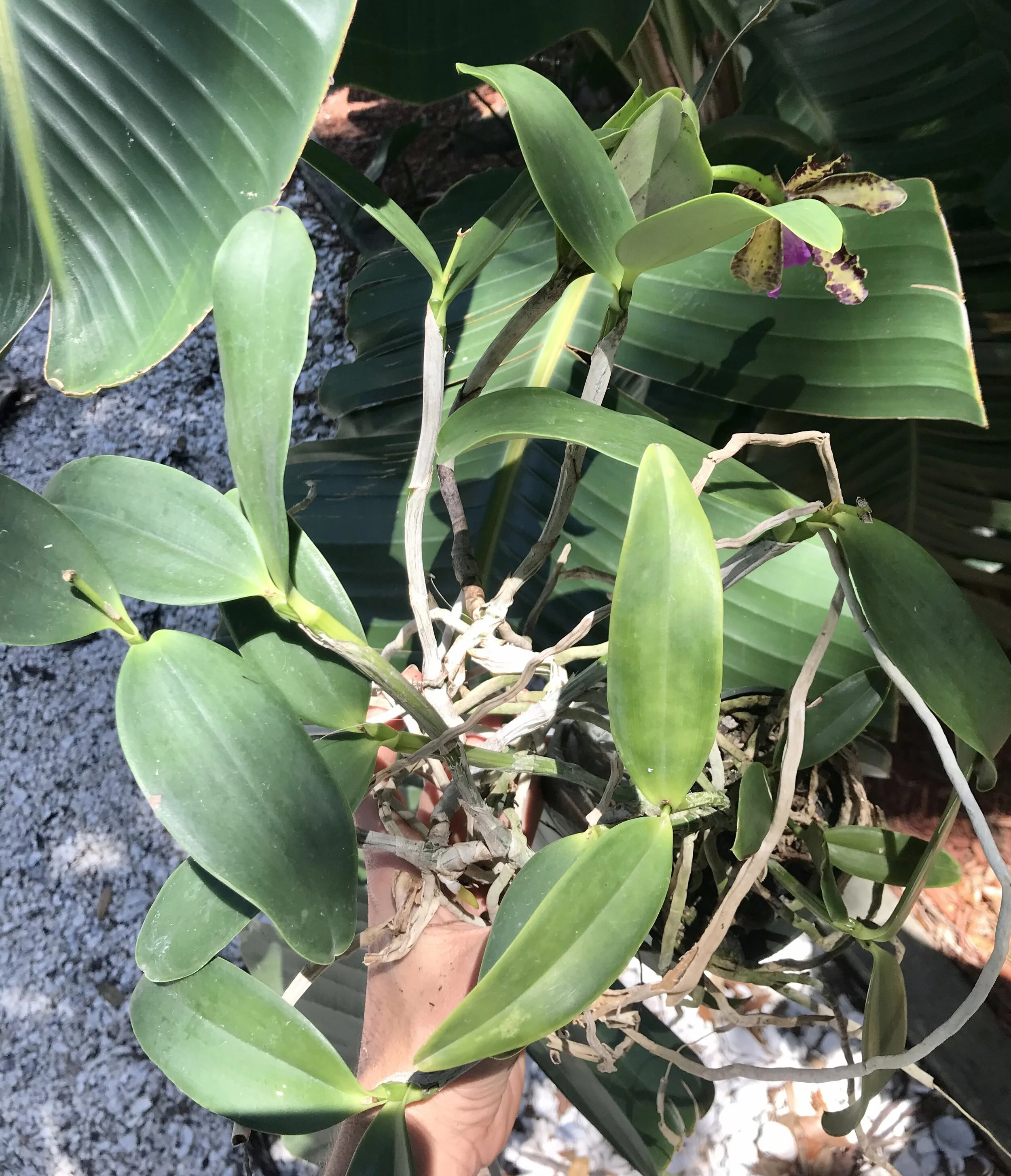 E5247D30-AE63-452B-914F-5A17662515C6