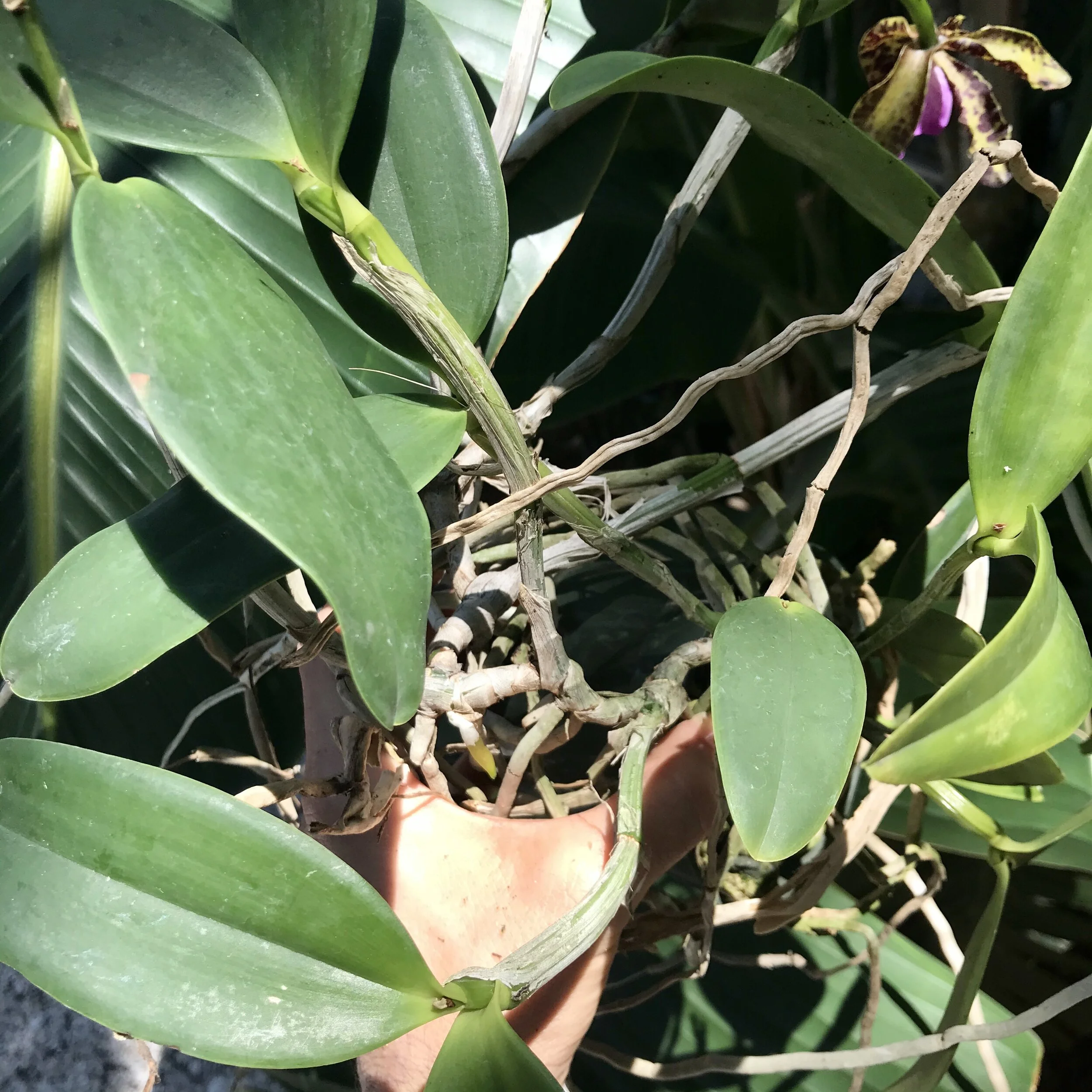 2E1BB2A0-1B22-4655-84A9-ACB85B411A0A