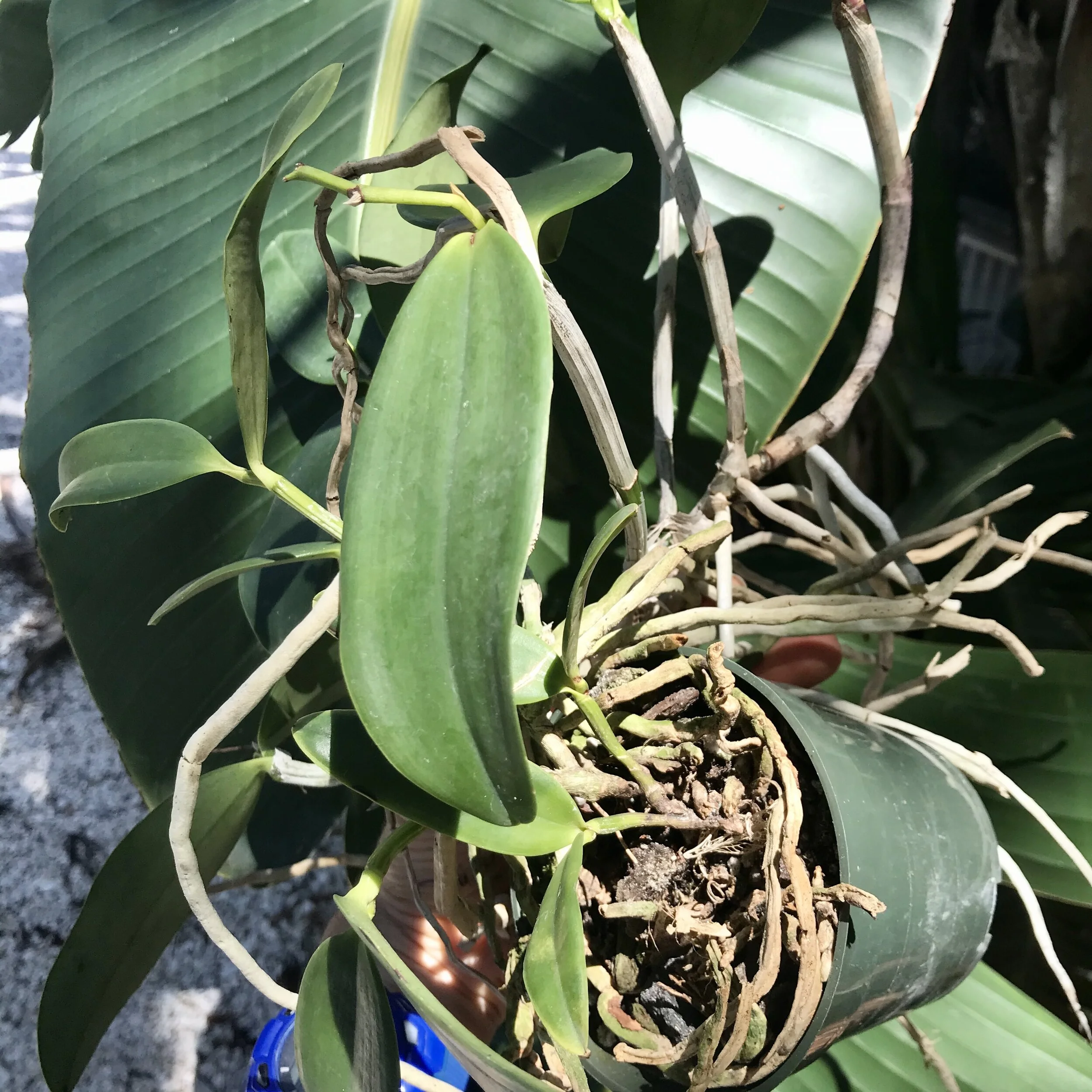 90346873-0726-496D-9C57-803D8687B62F